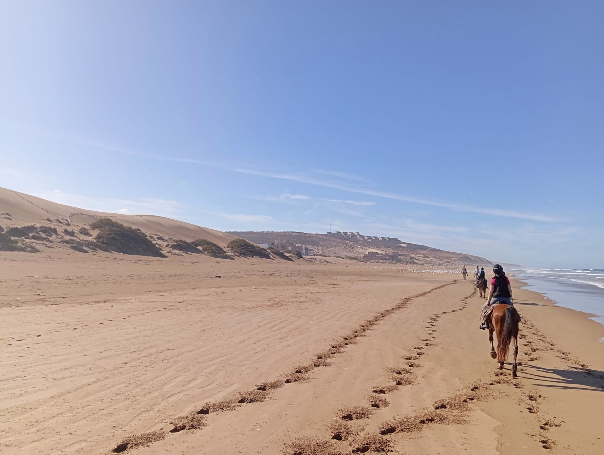 Randonnée équestre entre plages, déserts et palmeraies au Maroc