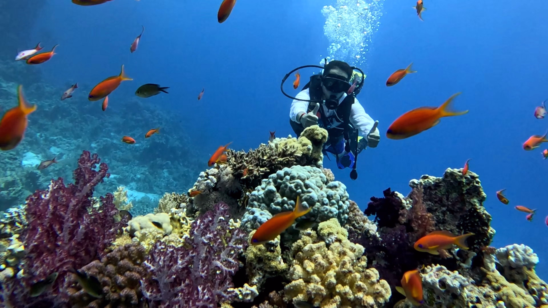 Plongée avancée dans le site fabuleux de Sharm El-Cheikh