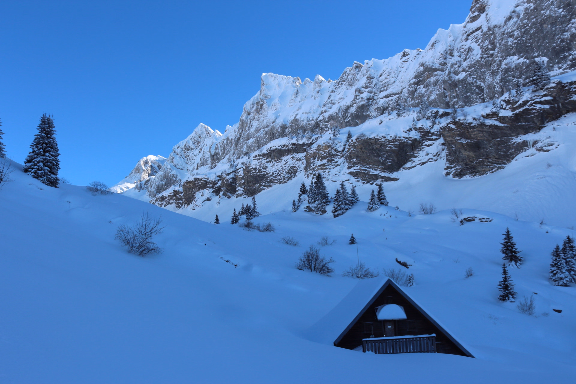 Raquettes dans le Haut-Giffre sur les hauteurs de Samoëns