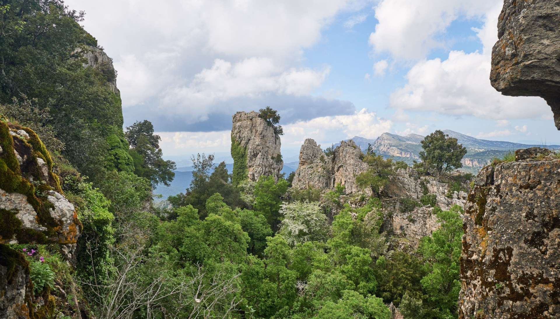 Randonnée entre falaises et criques secrètes en Sardaigne