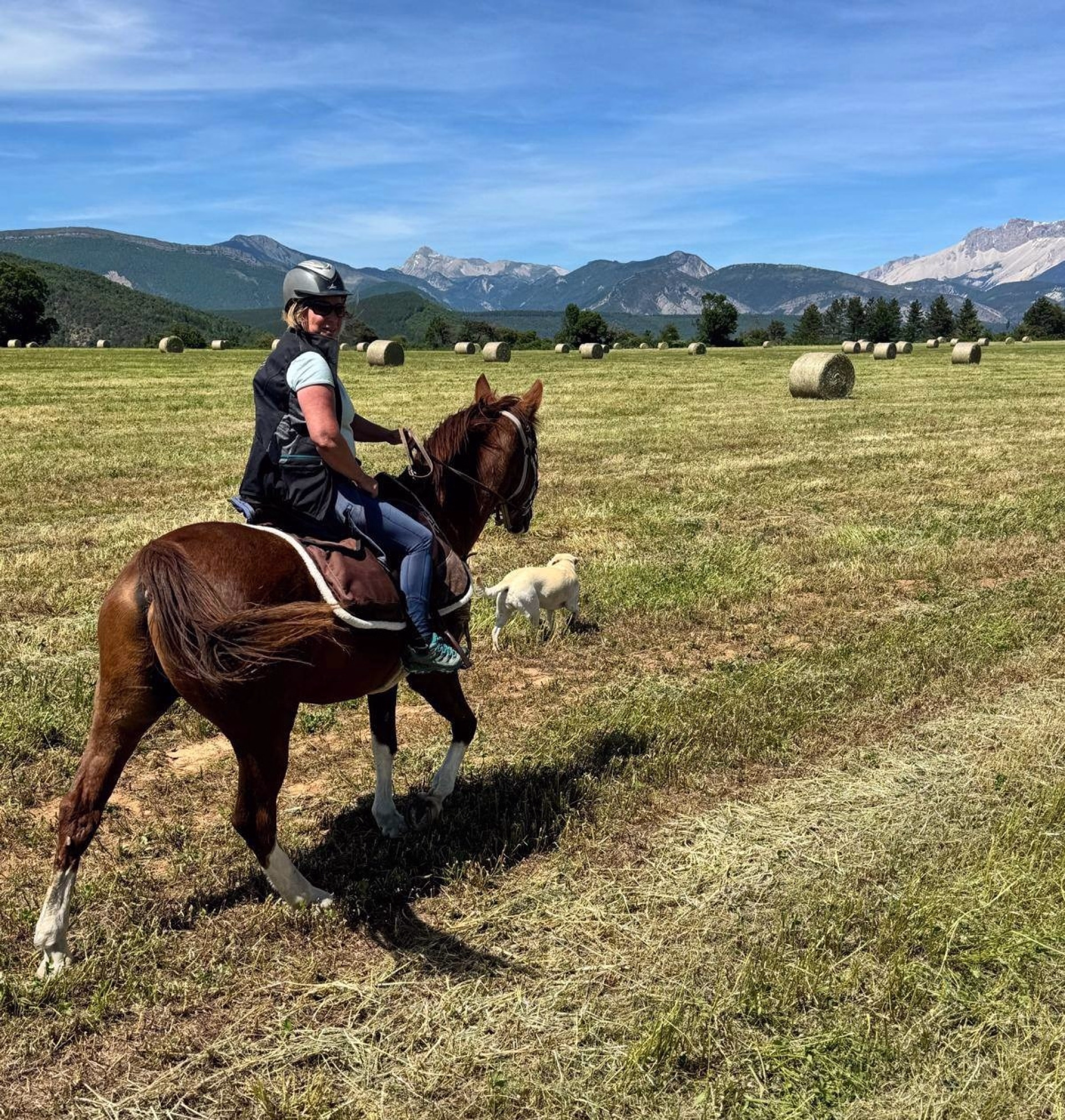 Randonnée équestre entre Buëch et sommets de la montagne d'Aujour