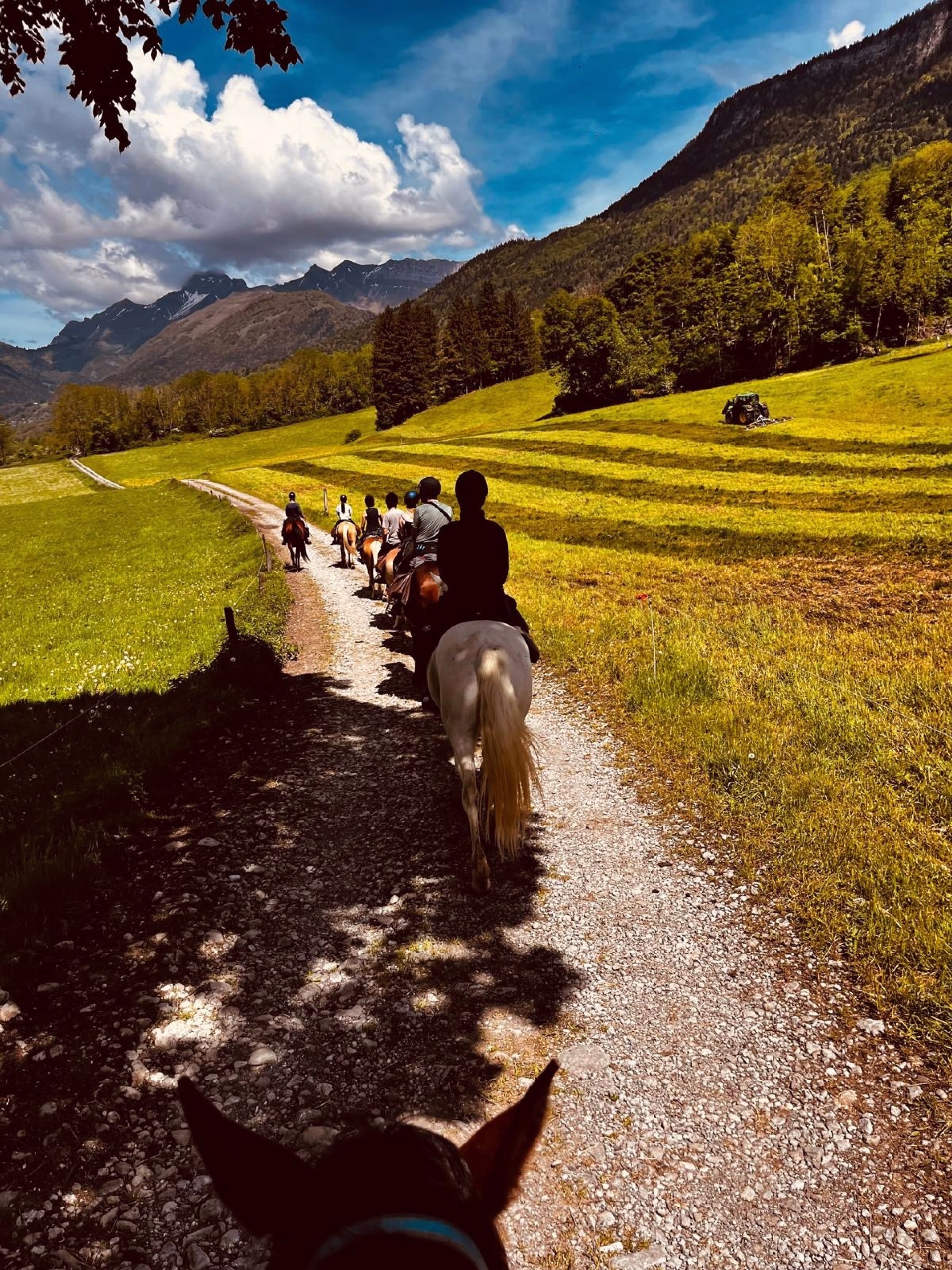 Randonnée à cheval entre forêts et montagnes dans le Massif des Bauges
