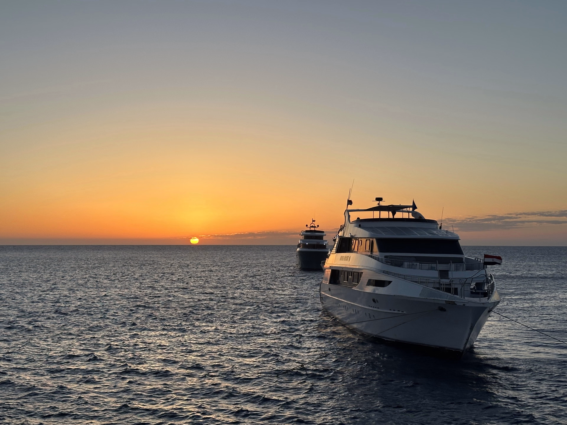 Voyageur solo : croisière plongée à St John's en Egypte