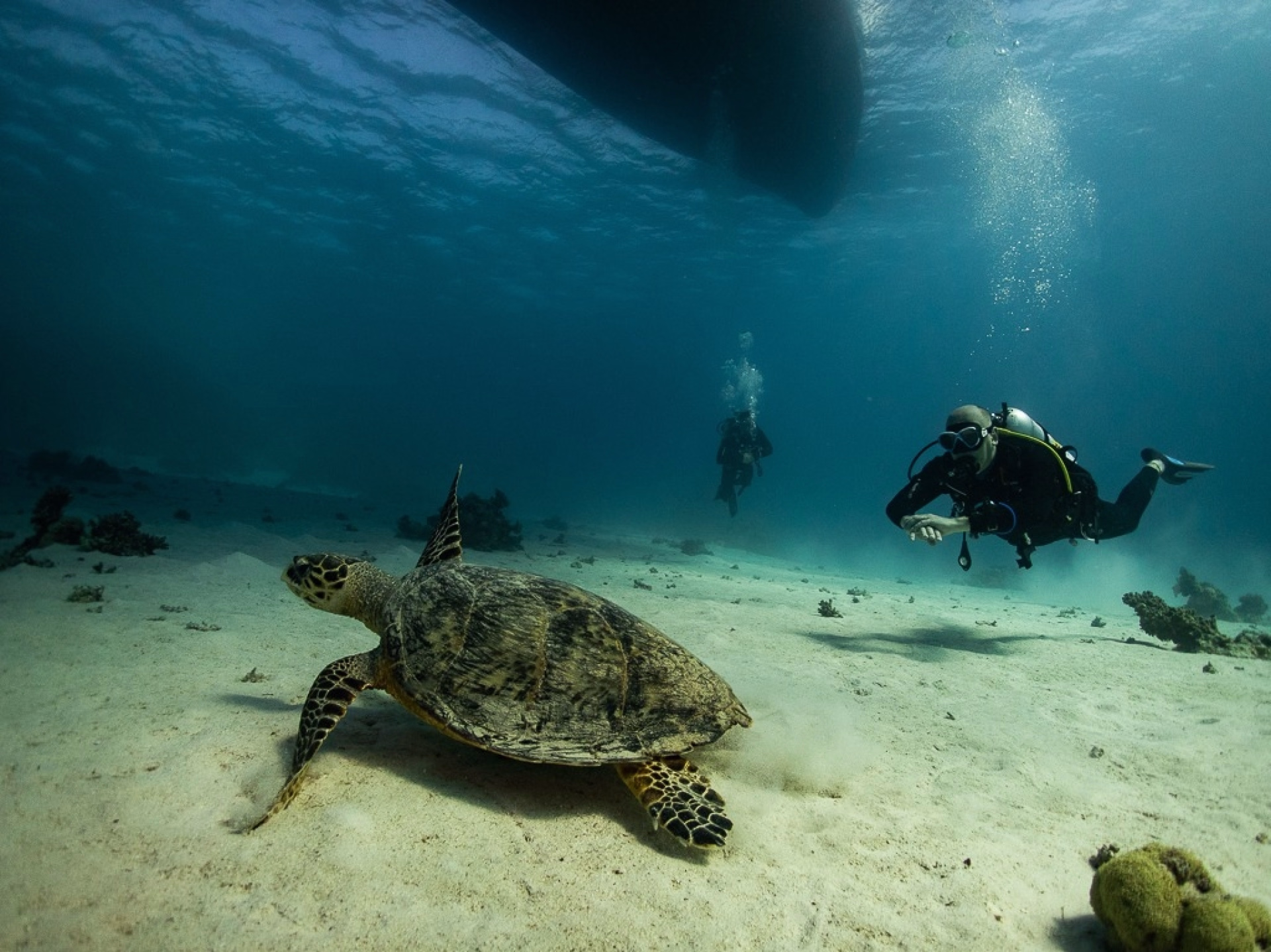 Initiation à la plongée en mer Rouge en felucca à Soma Bay