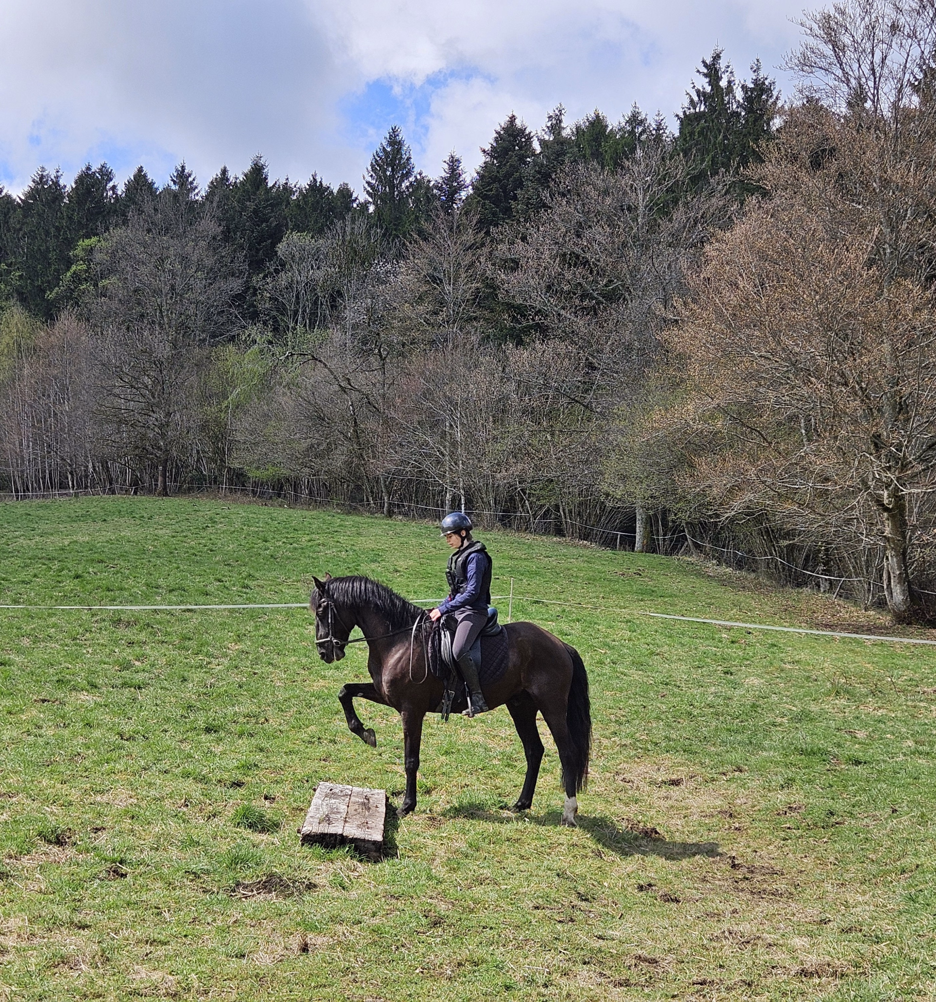 Stage équitation multi-activités au coeur des Vosges