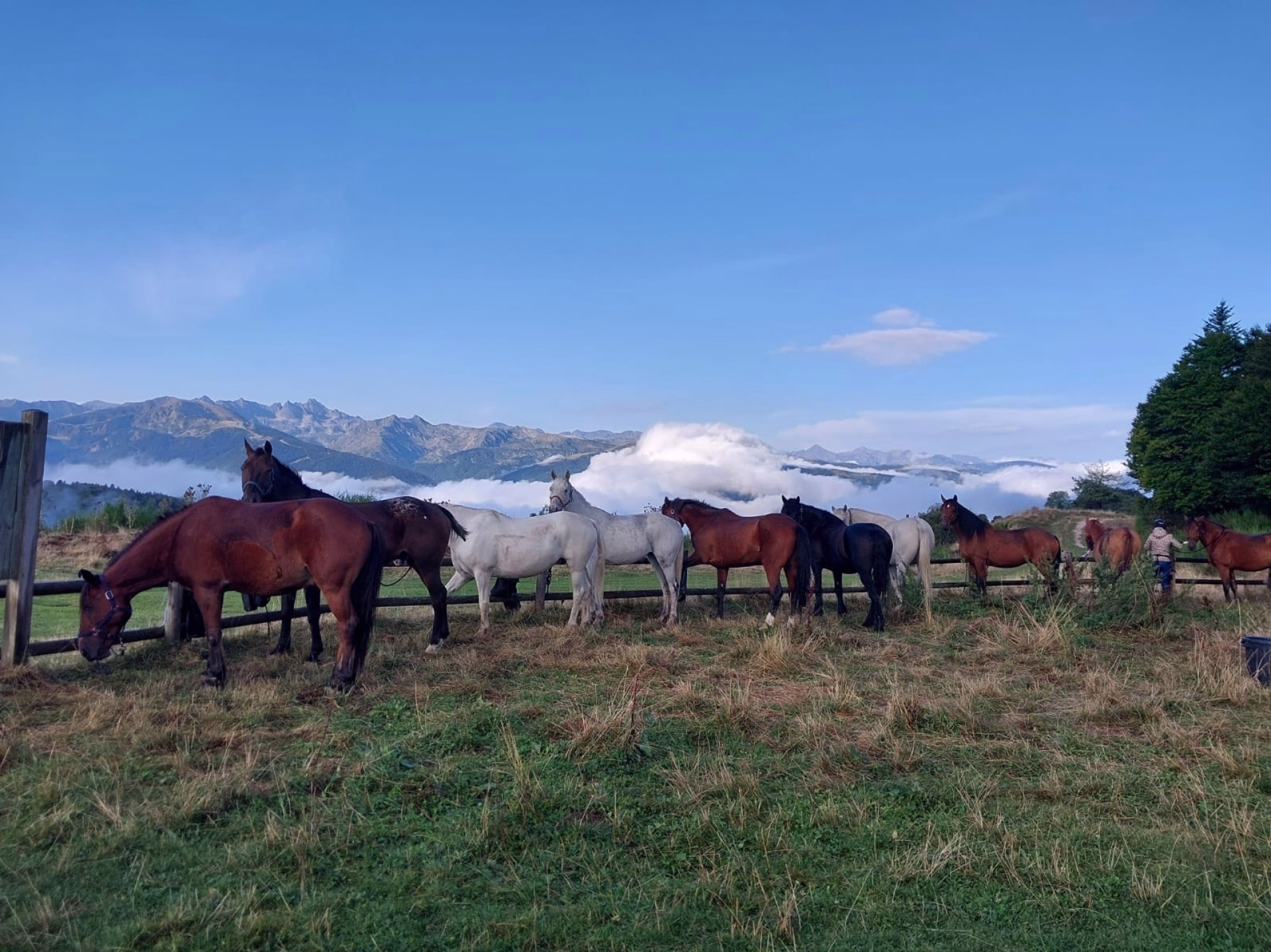 Itinérance à cheval vers Montségur dans les Pyrénées ariégeoises