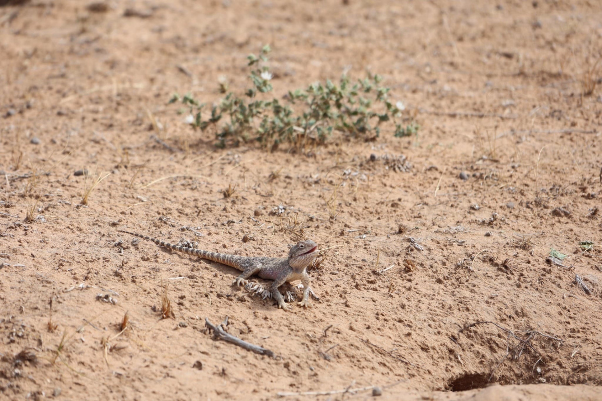 Les plus belles randonnées de la Route de la Soie