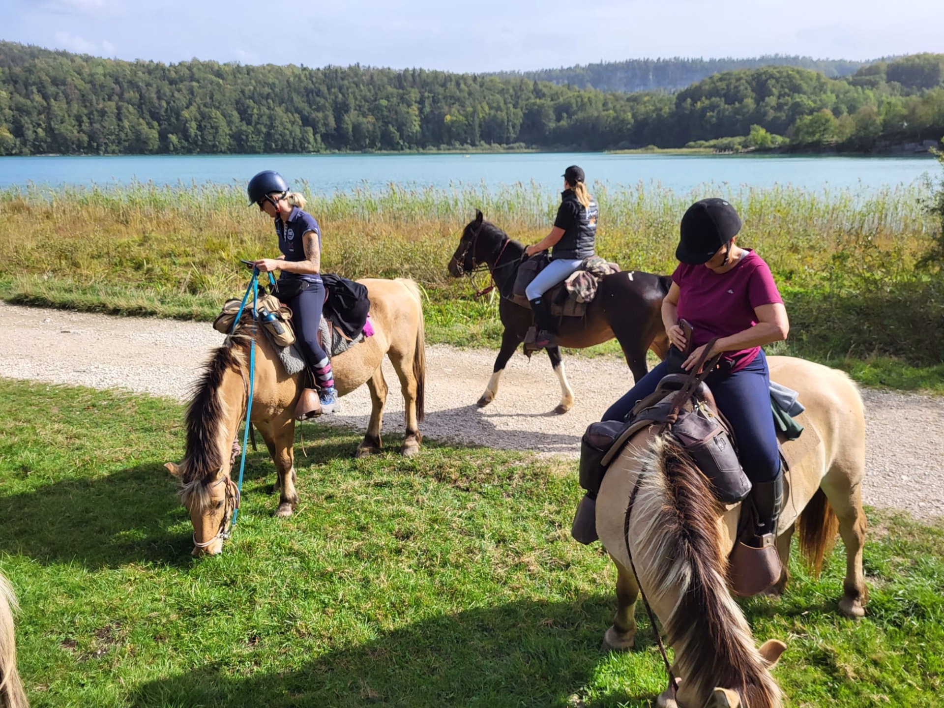 Week-end randonnée équestre au cœur du Haut-Jura