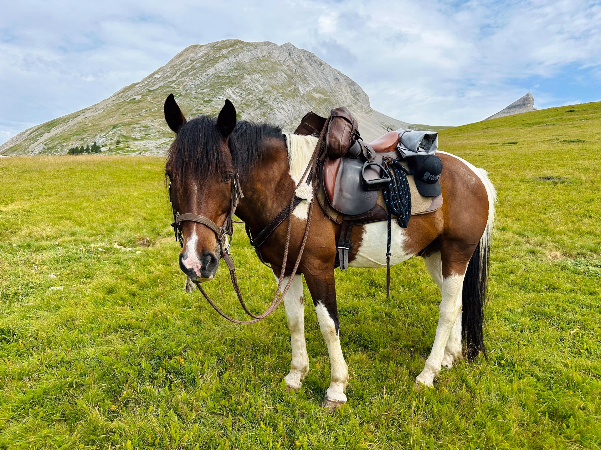 Randonnée équestre dans les Alpes