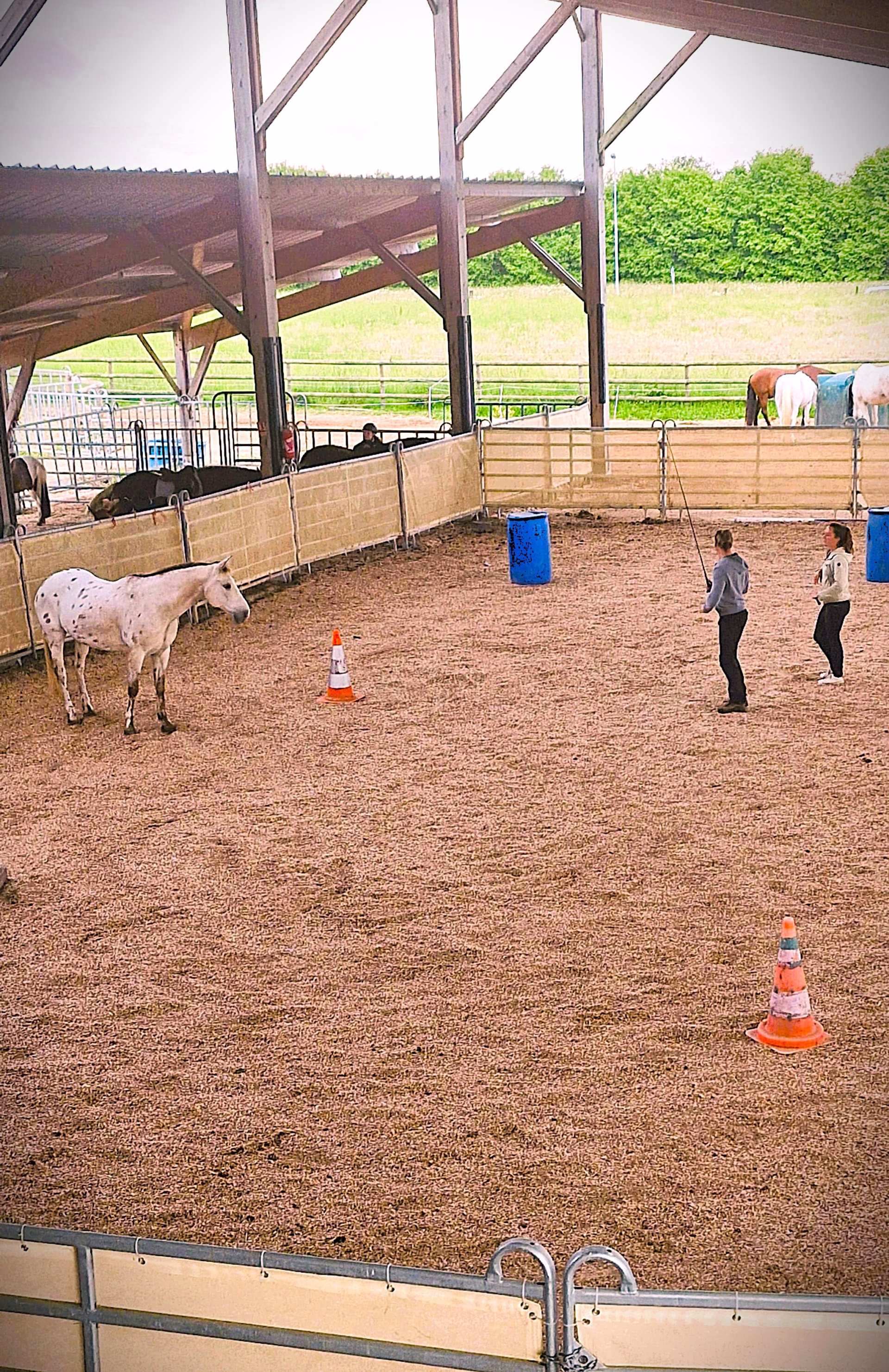 Week-end éthologie à Rennes