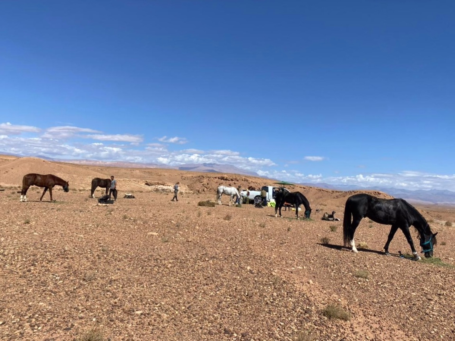 Expedition a cheval - Au Pays Des Mille Kasbahs
