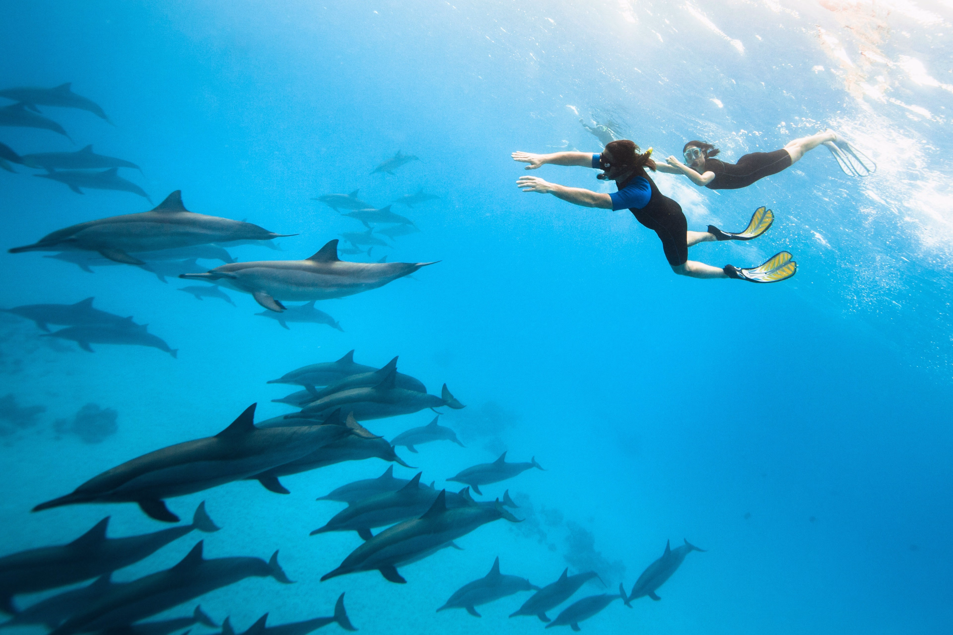 Découvrez les plus beaux sites de snorkeling à Bali