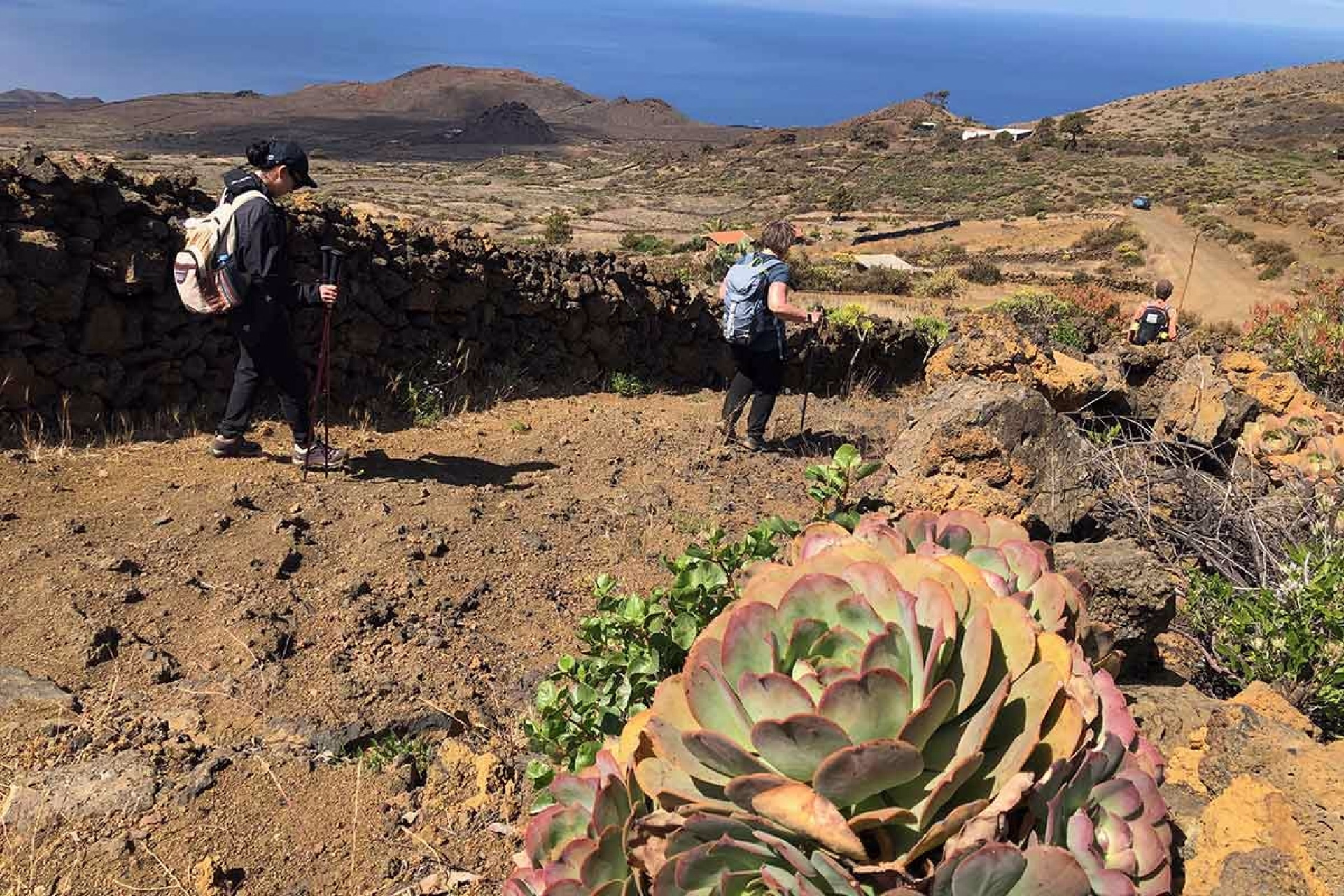 Randonnée sur le parcours naturel de l'île d'El Hierro