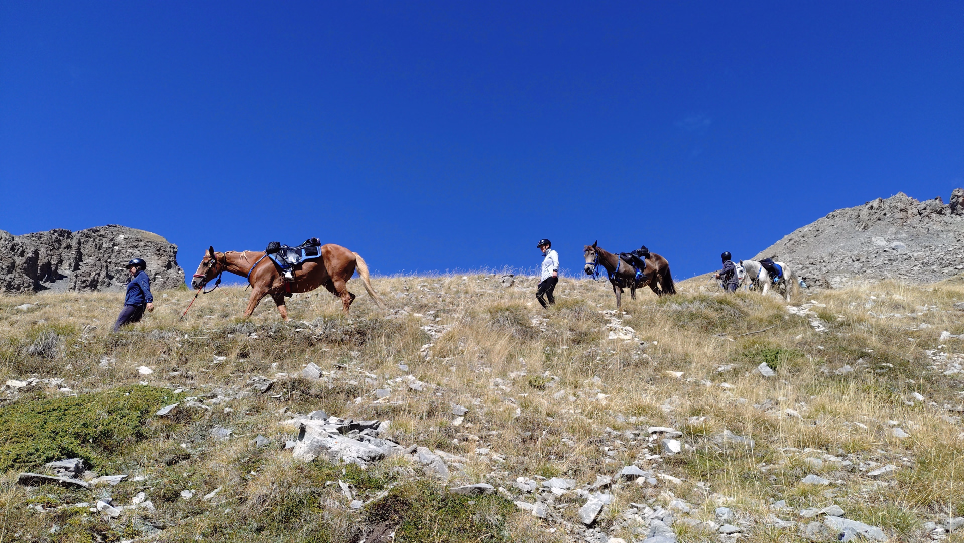 Trek des lacs et panoramas du Viso en Queyras