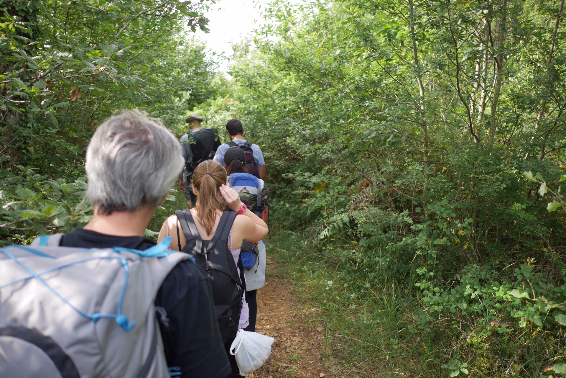 Micro-aventure sauvage en Belgique