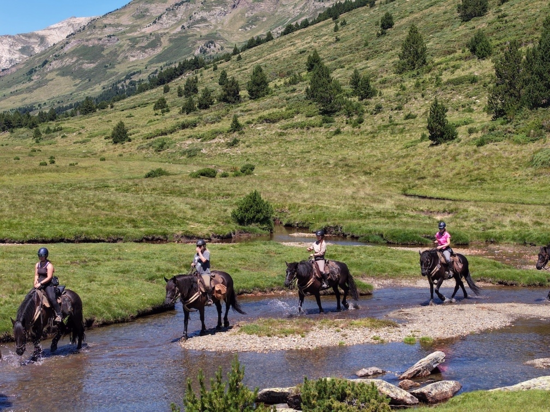 Brame du cerf en Pyrénées catalanes à cheval