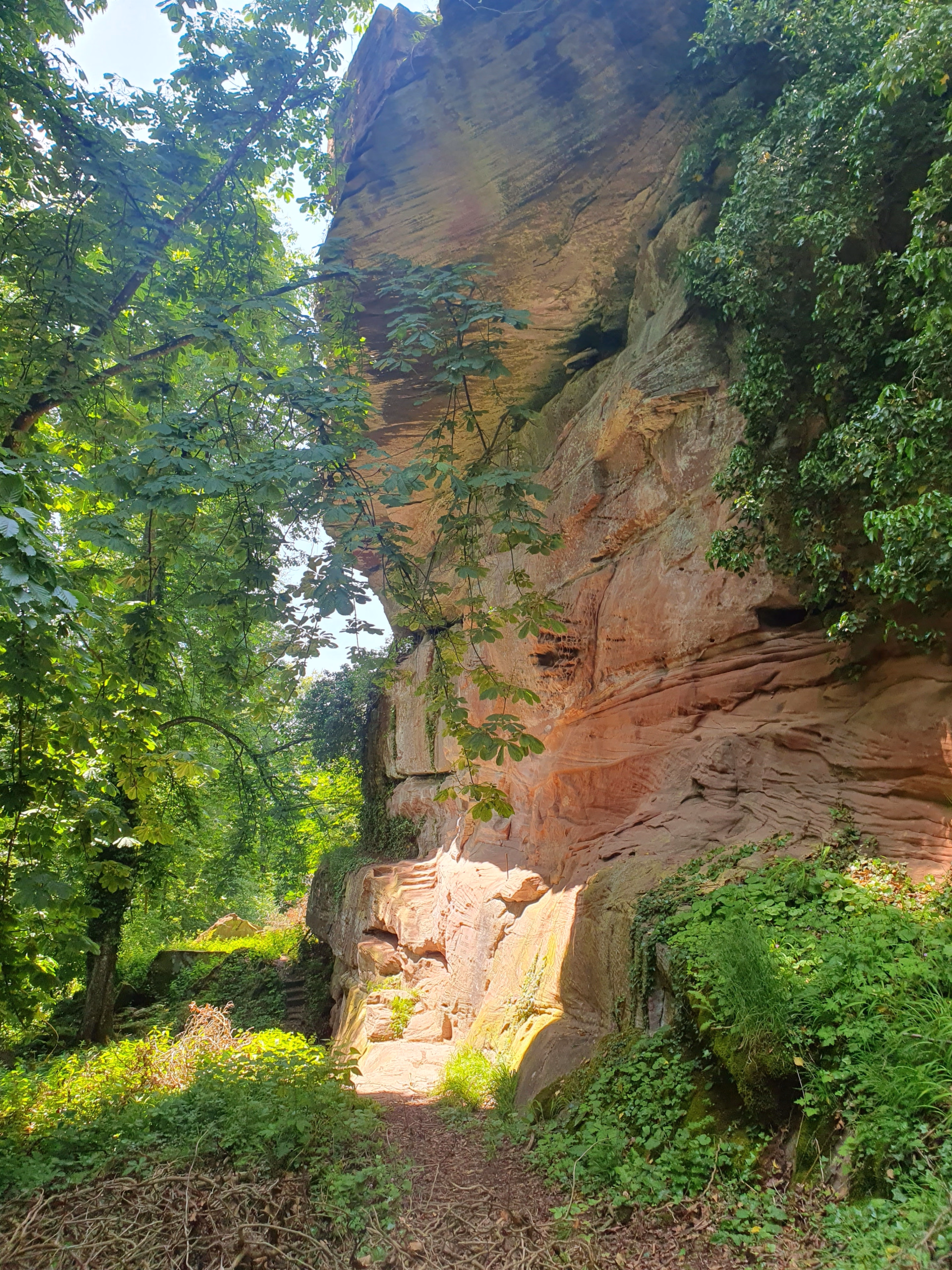 Randonnée 3 jours au cœur des Vosges du Nord en Alsace