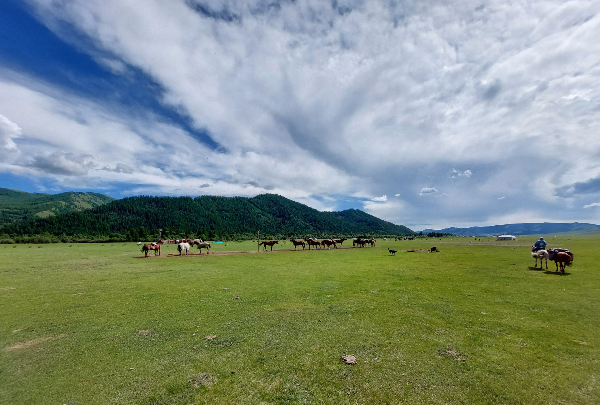 Randonnée à cheval dans le parc national de Terelj en Mongolie