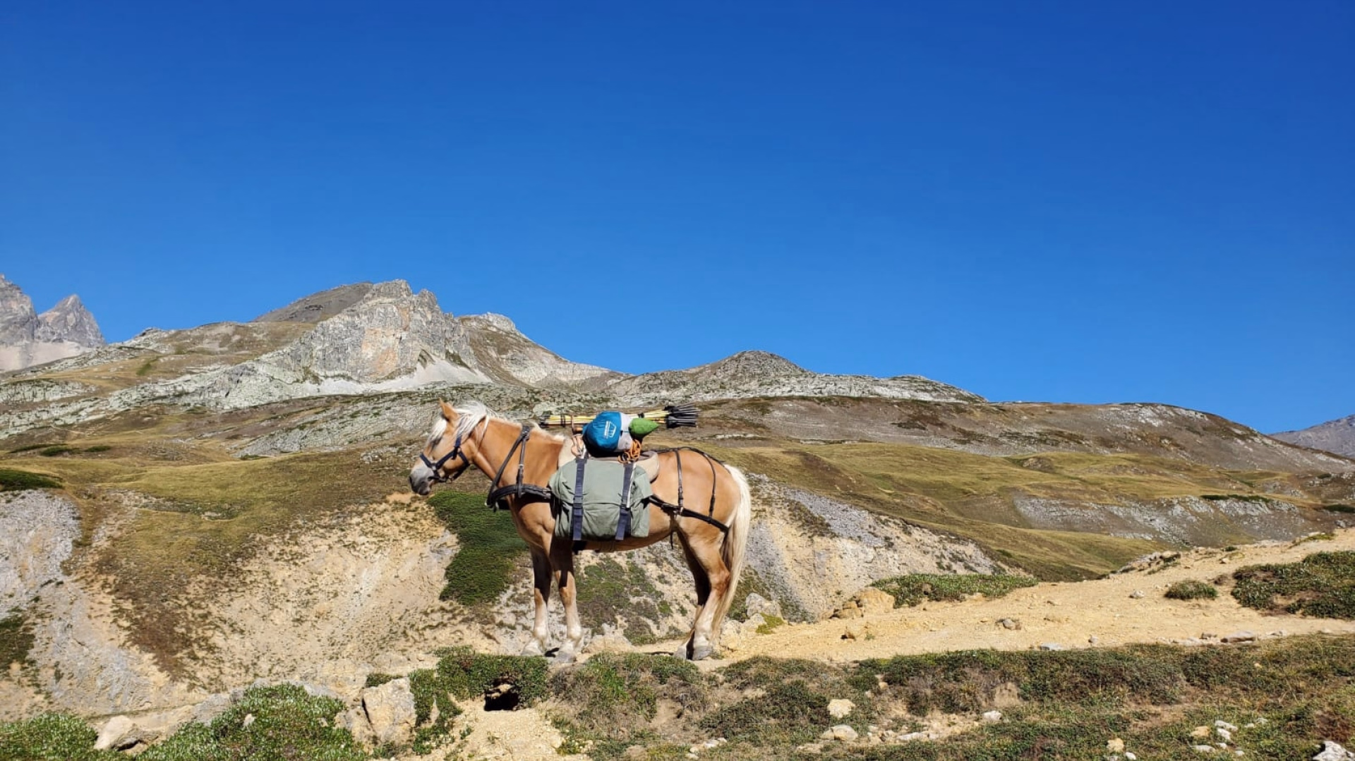 Randonnée équestre en Vanoise et nuits en refuge