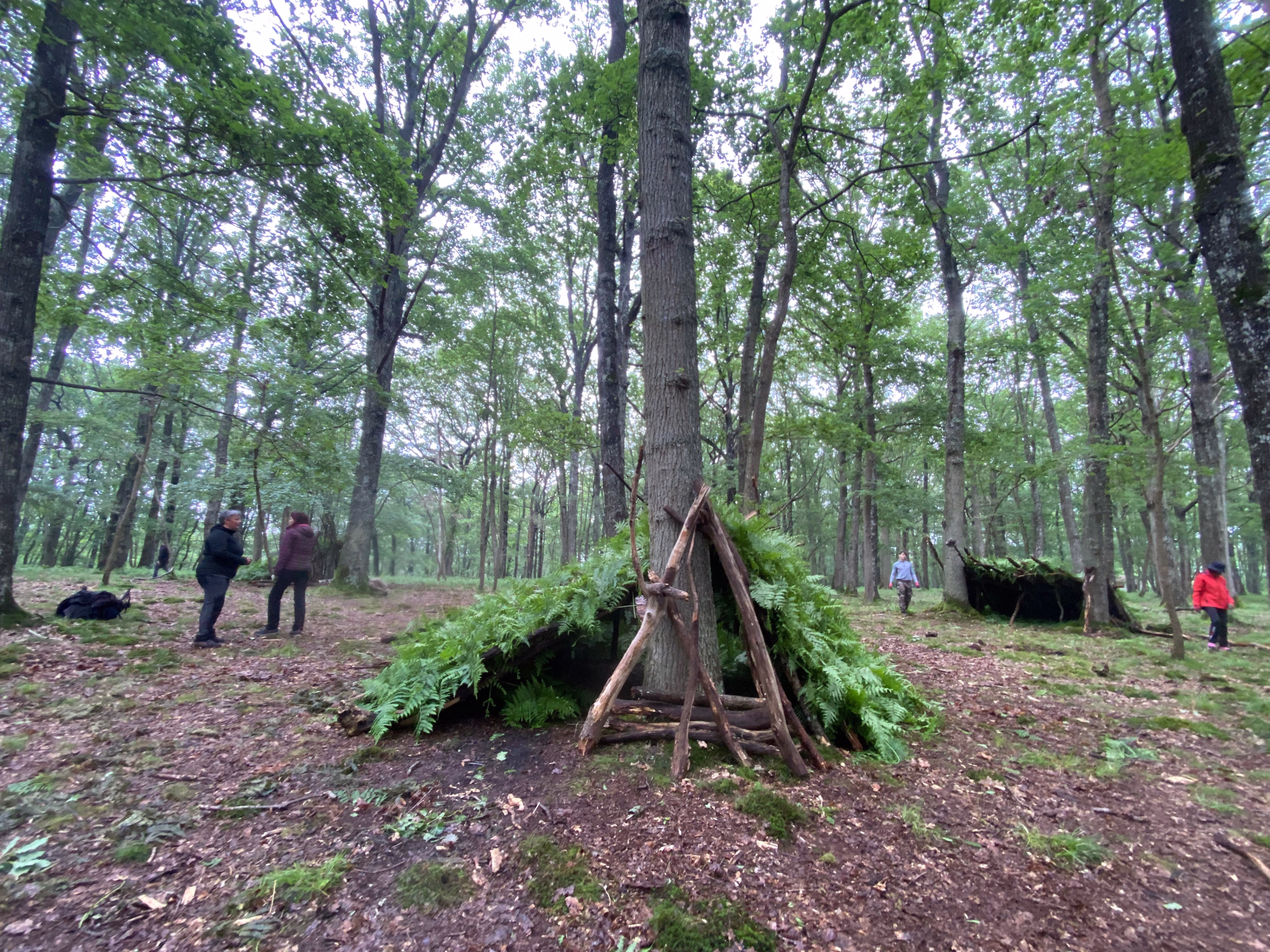 Micro-aventure en pleine nature sauvage dans les Landes