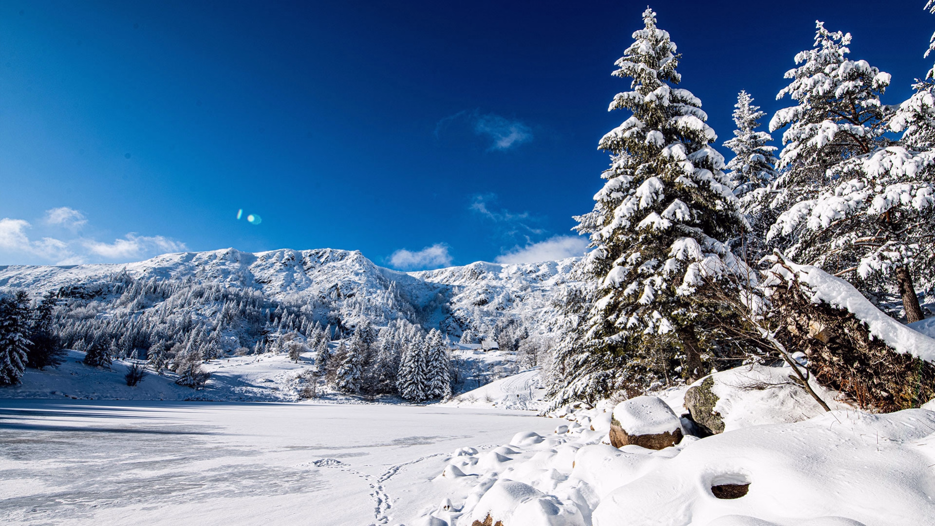 Lac Blanc : 4 jours Nouvel An dans les Vosges en raquettes accompagné