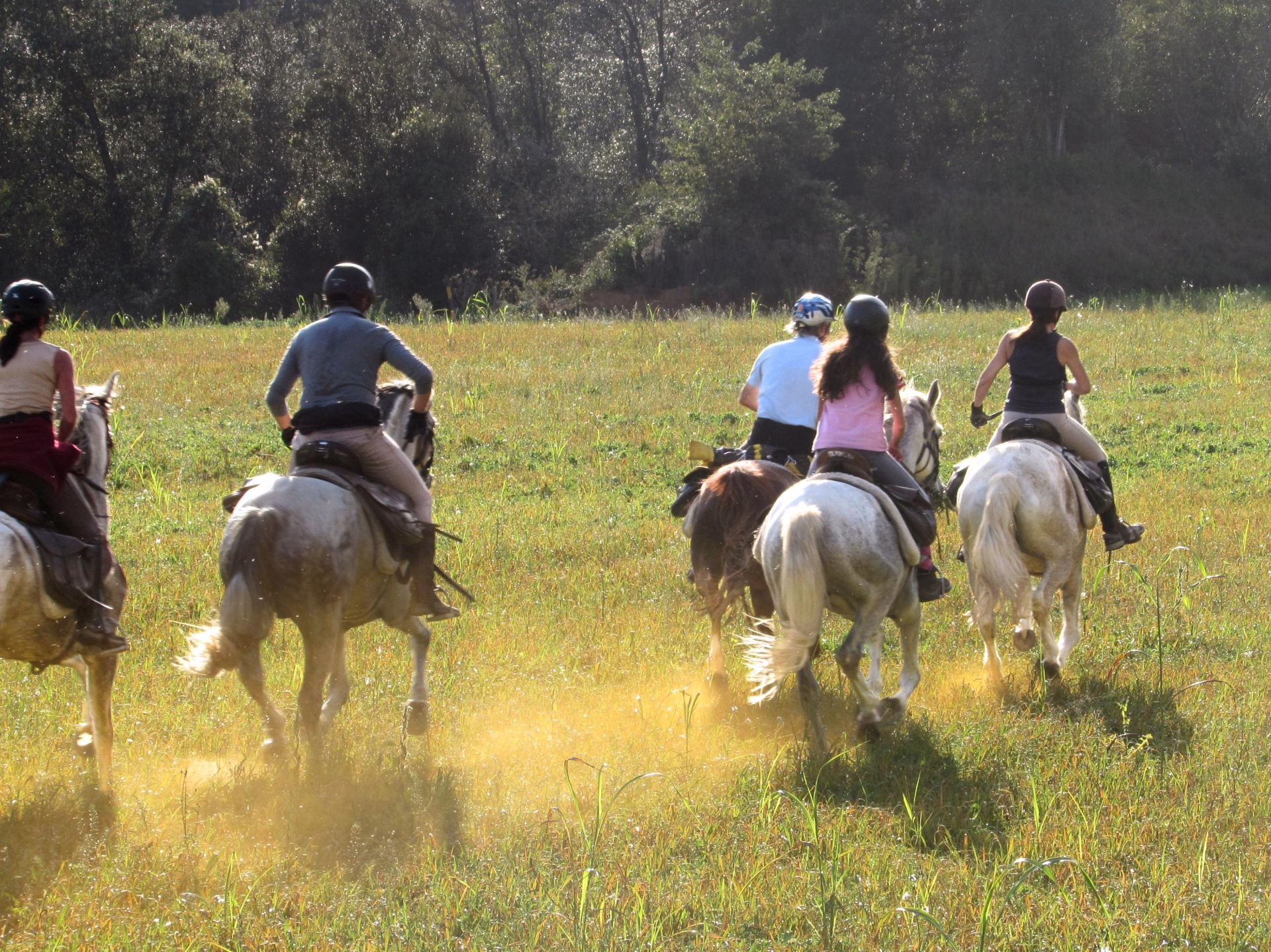 Randonnée à cheval en Catalogne