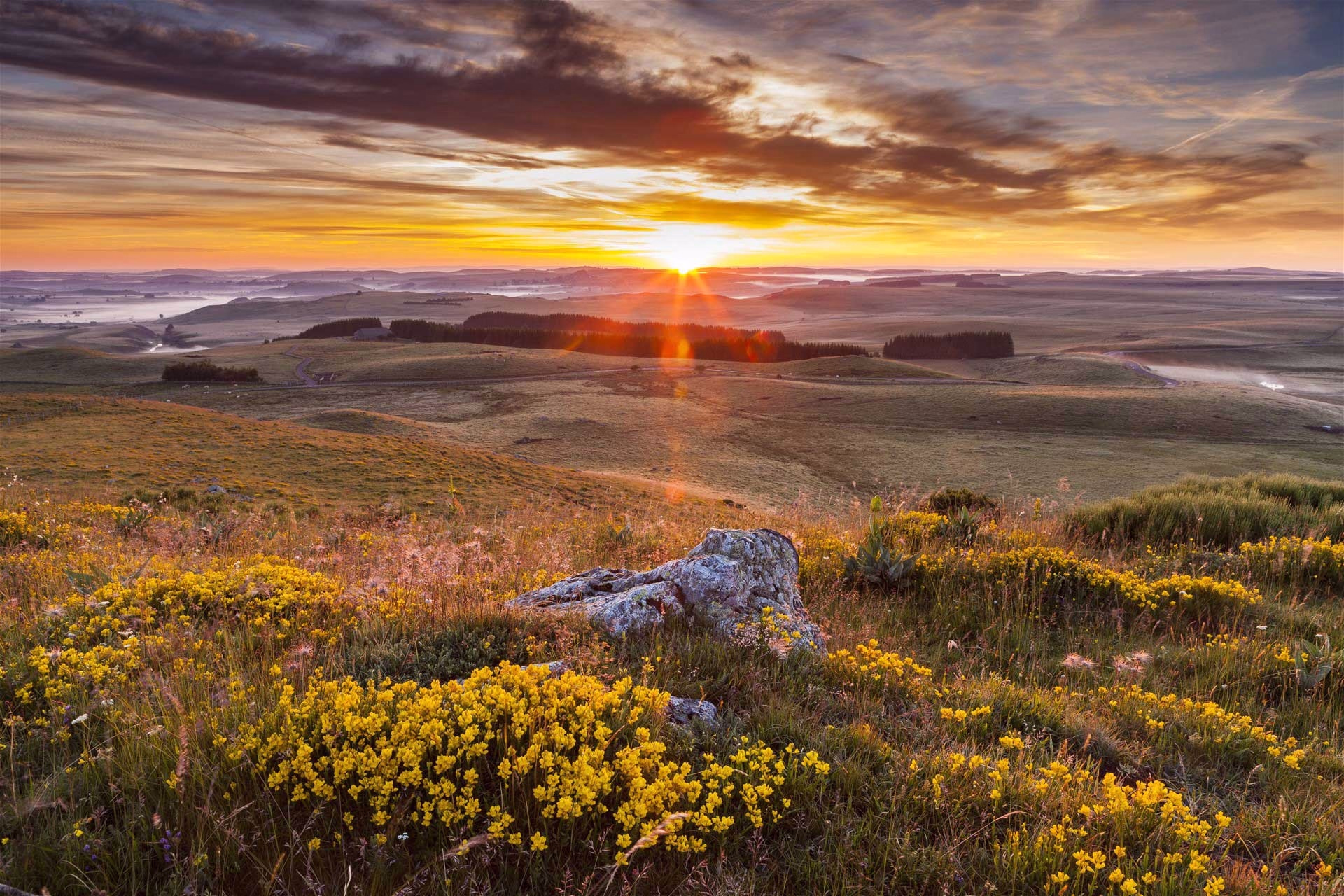 Vachement randonnée au coeur de l'Aubrac