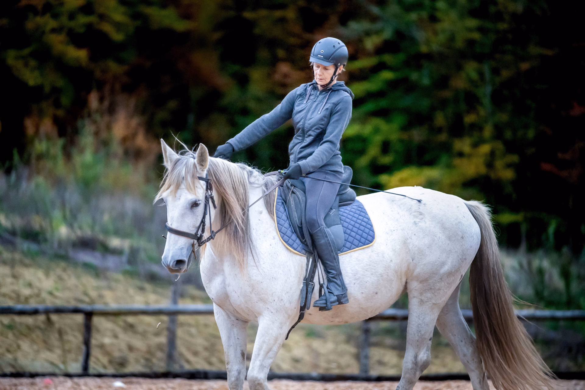 5 jours d'équitation : Initiation et loisir en cours particuliers