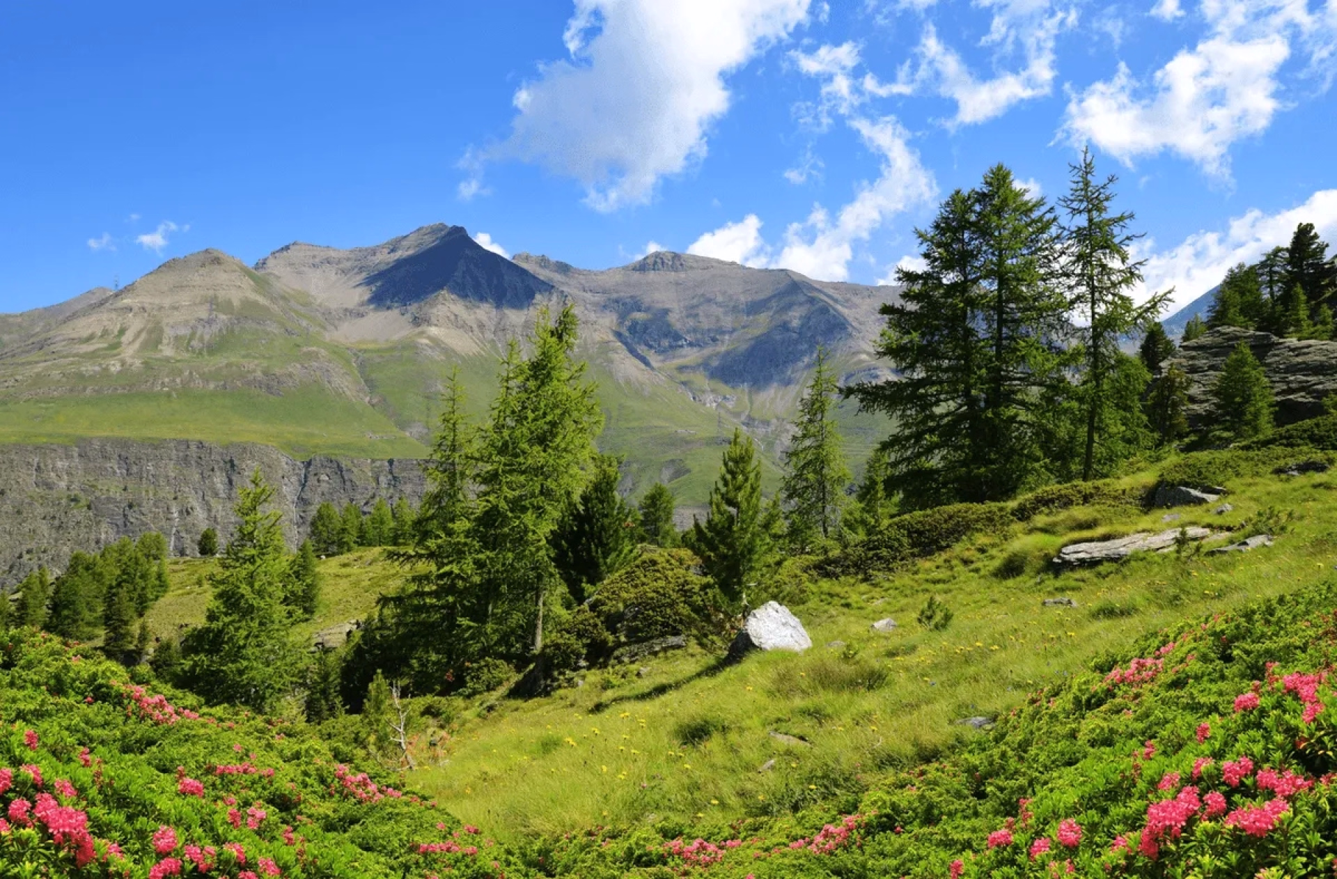 Première randonnée en altitude dans le massif du Gran Paradiso