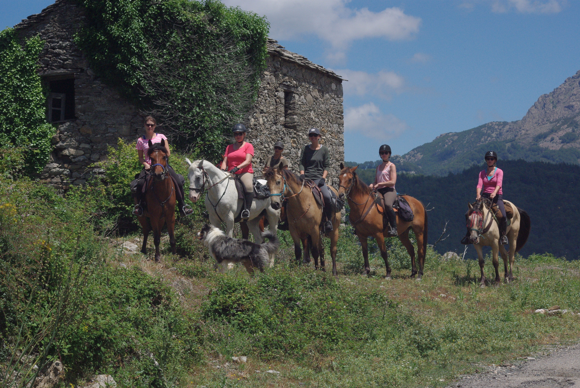 Randonnée équestre entre mer et montagne en Corse