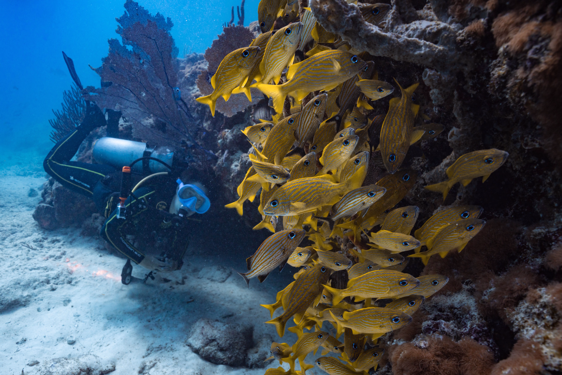 Esprit Libre : Aventure prolongée en terre maya
