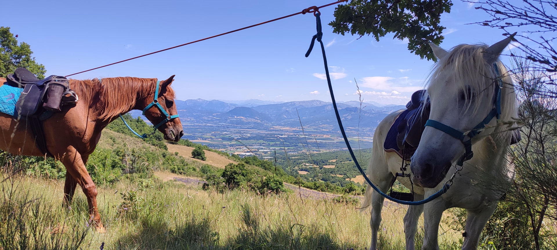 Randonnée équestre en yourte au cœur des Baronnies Provençales