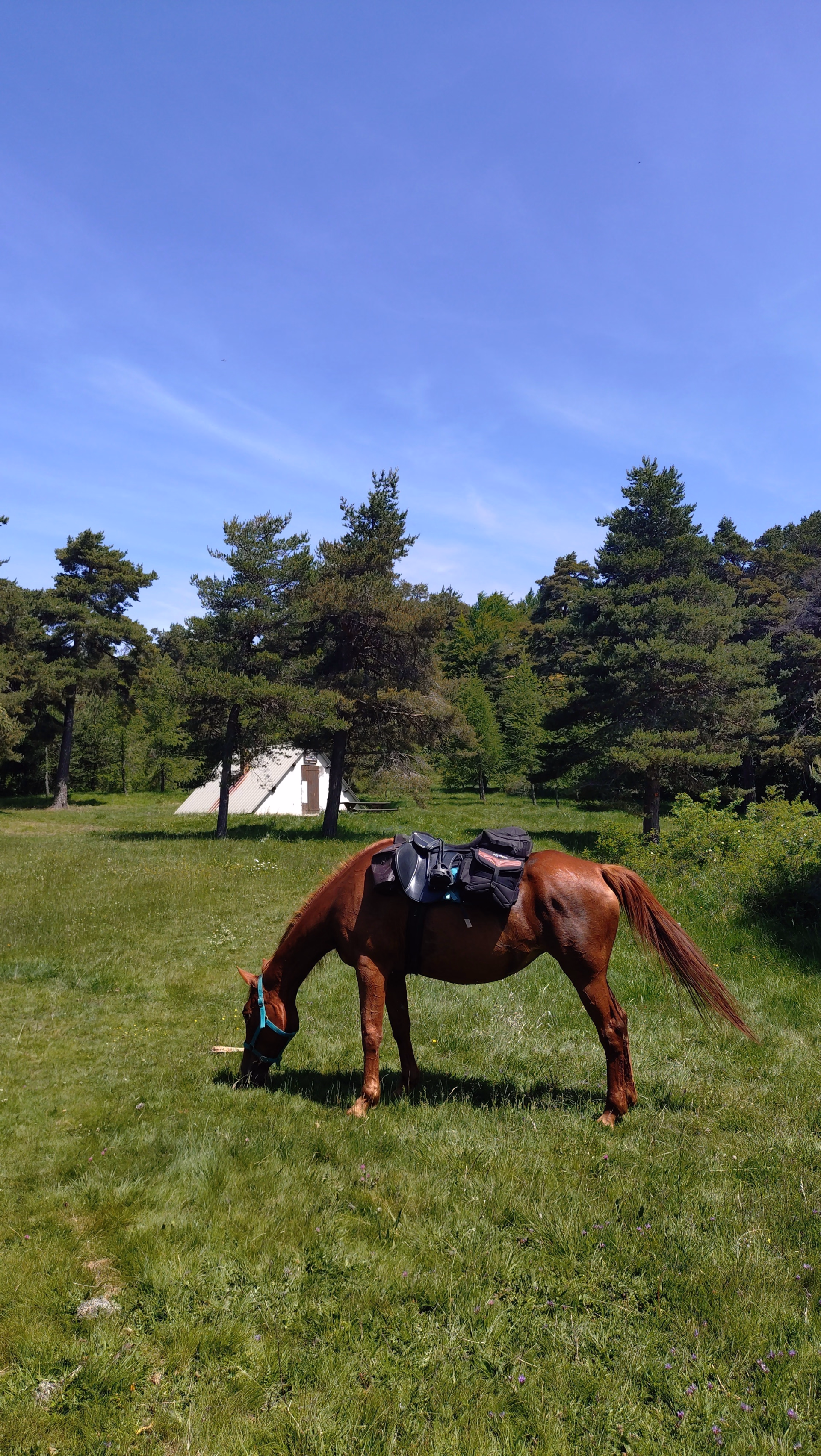 Tour des Monges à cheval