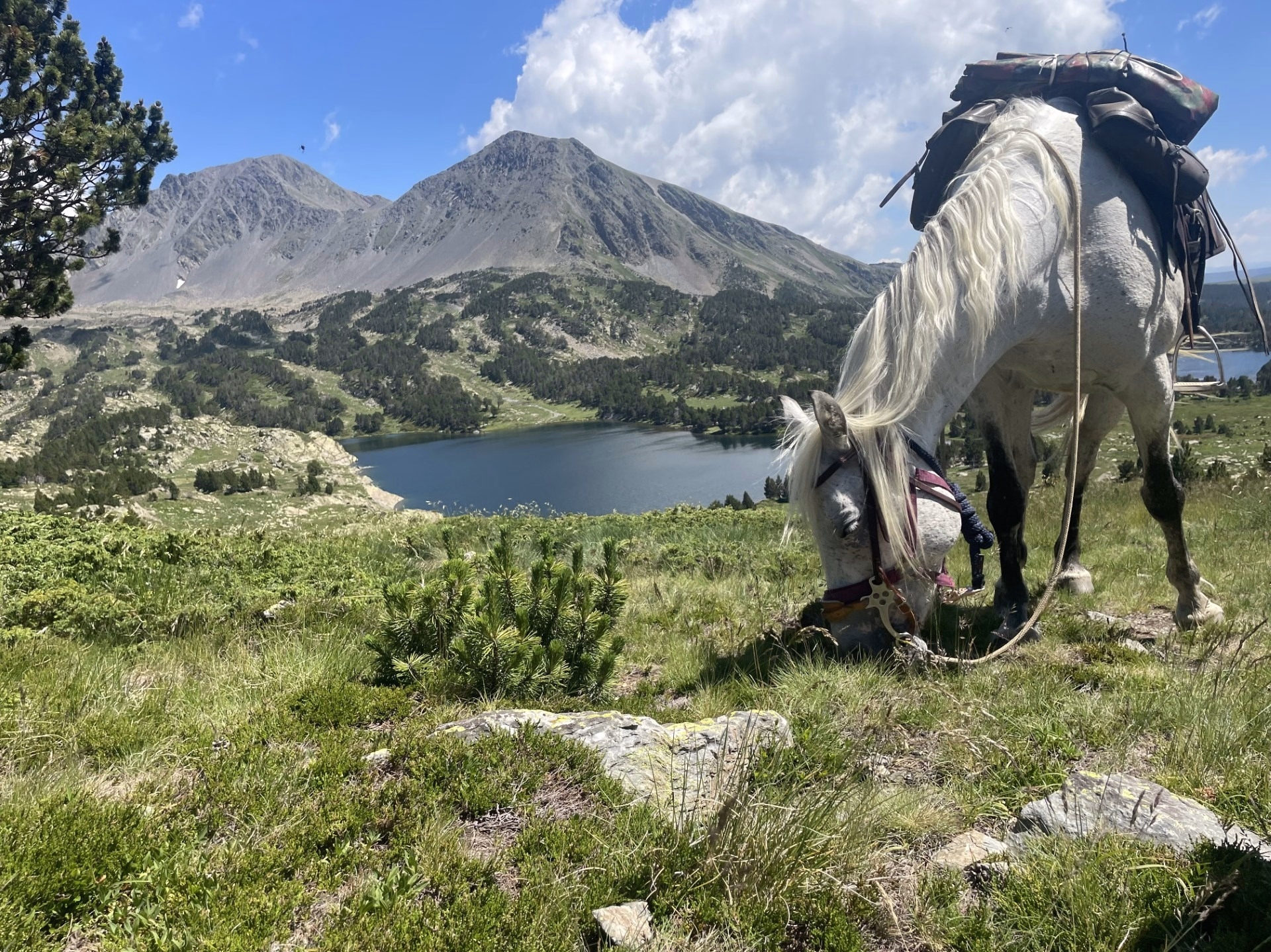 Rando équestre des lacs des Pyrénées Catalanes