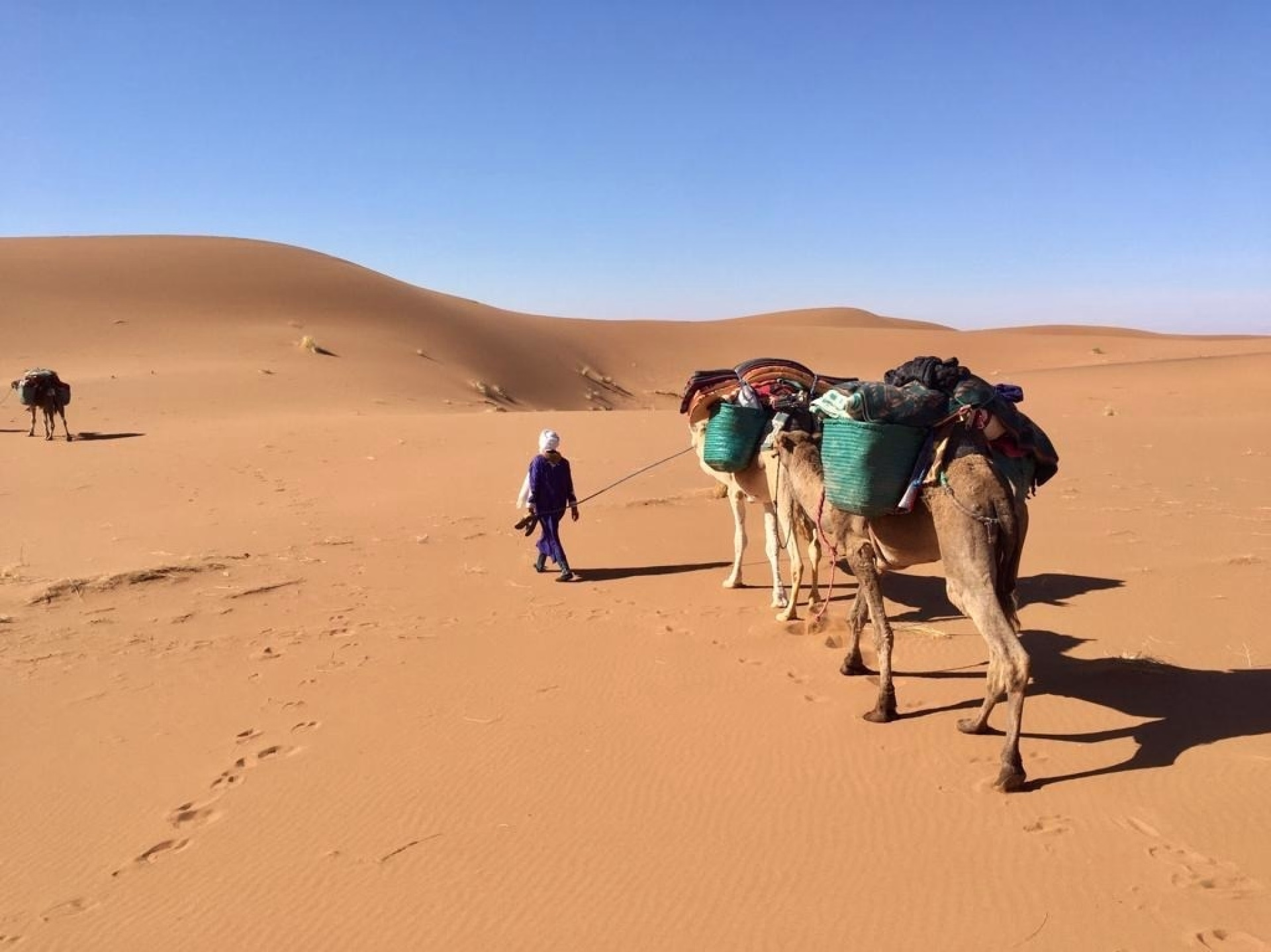 Trekking familial de 7 jours dans le désert marocain