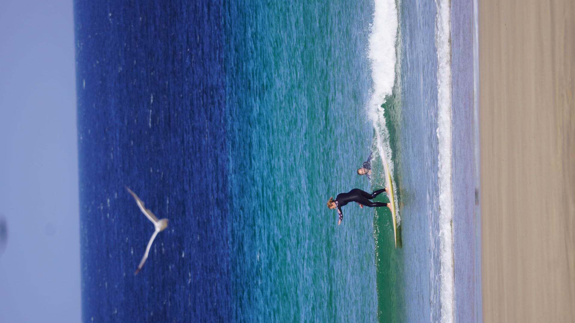 Sessions de surf et évasion sauvage sur la côte nord de l'Irlande