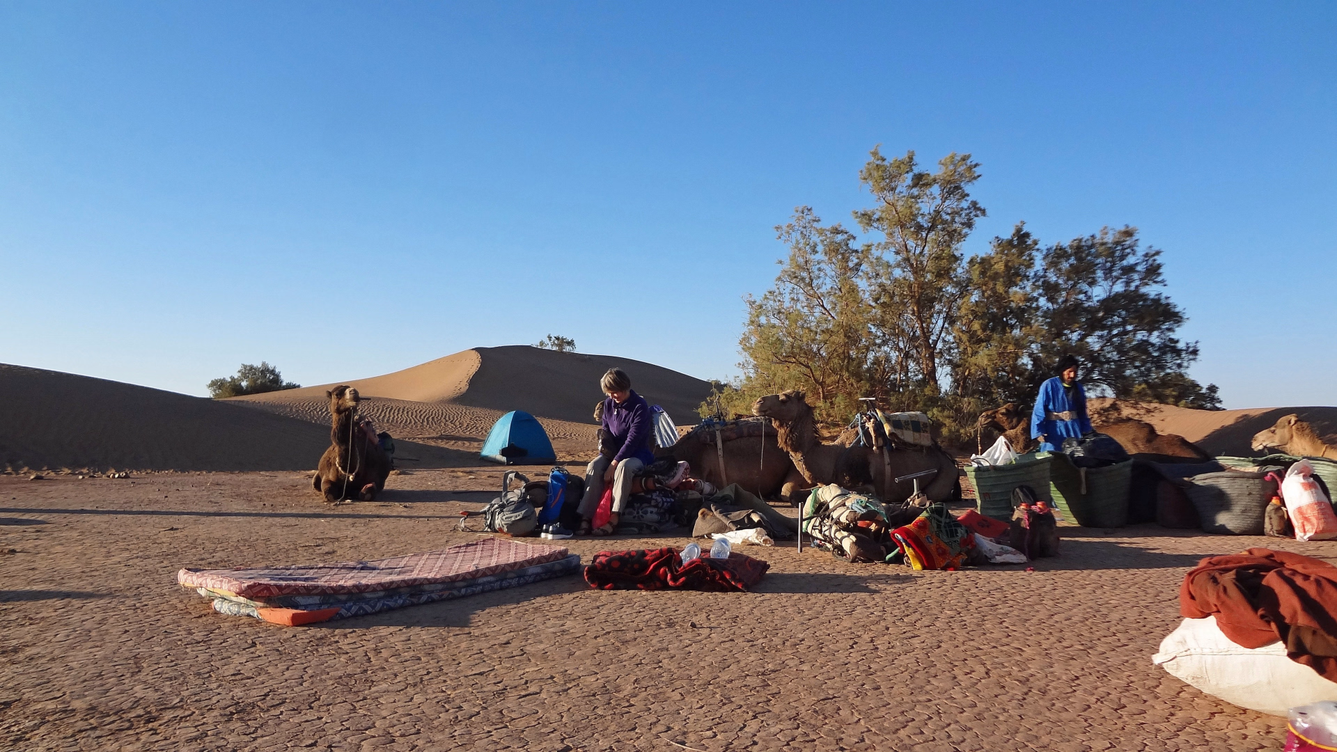 Trek de 3 jours dans le désert : sur la route des anciennes caravanes