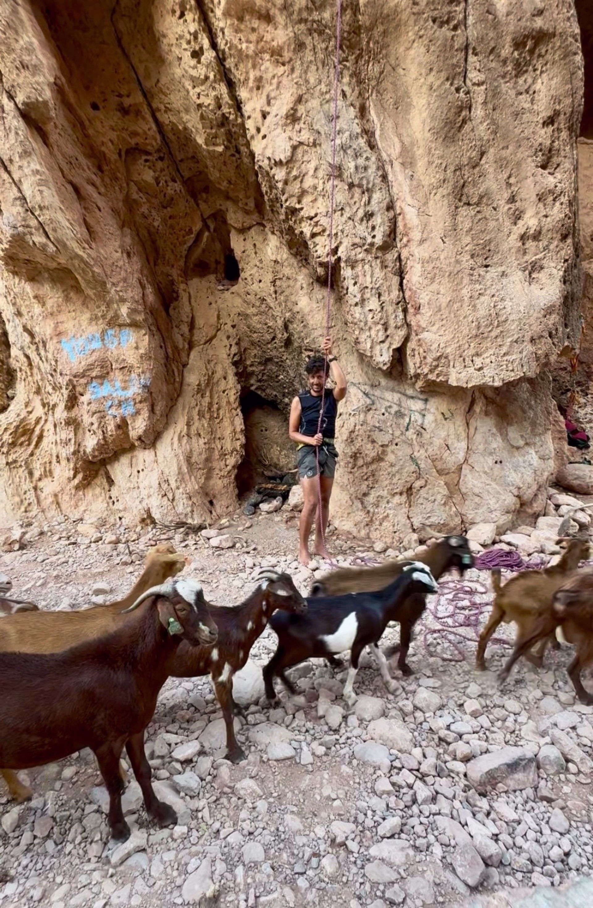 Surf & Escalade au Maroc : 4 jours