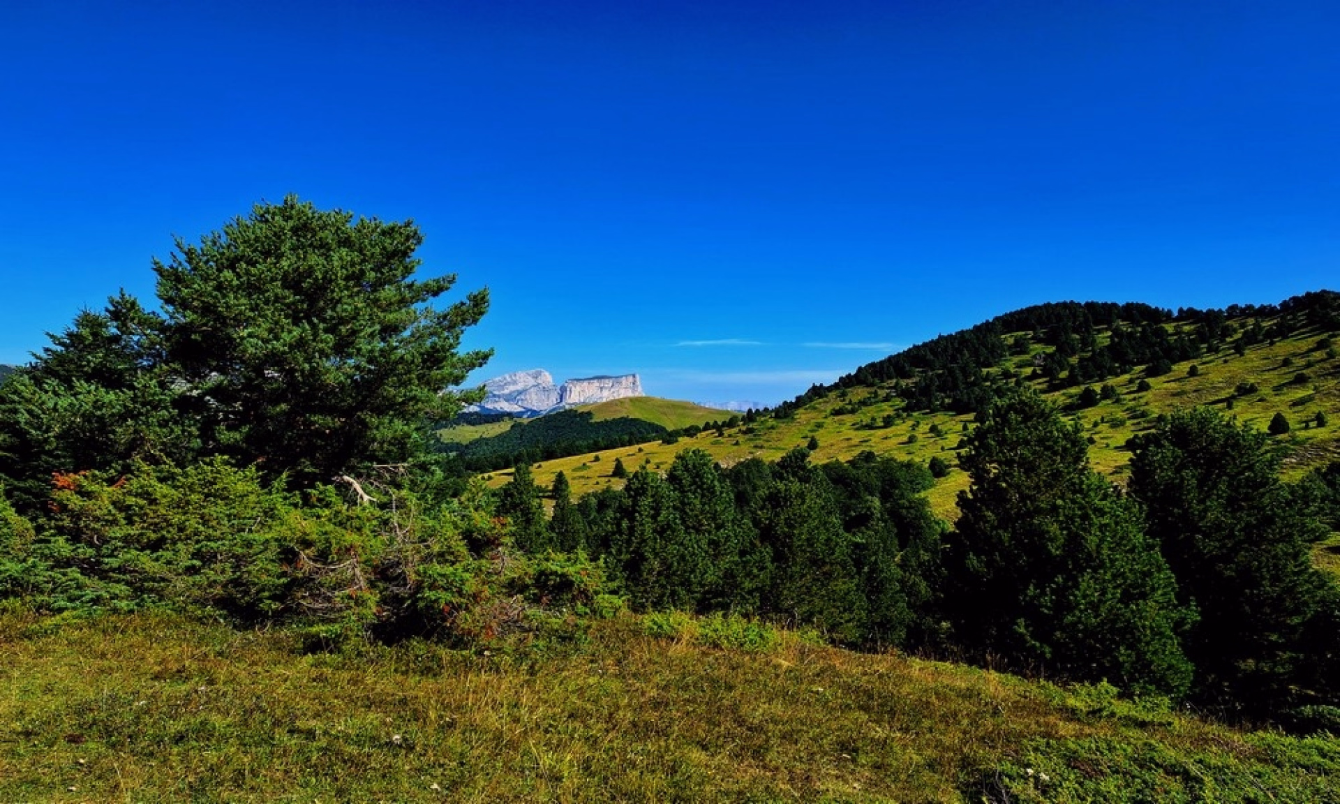 Randonnée nature et panoramas d’exception dans le Vercors