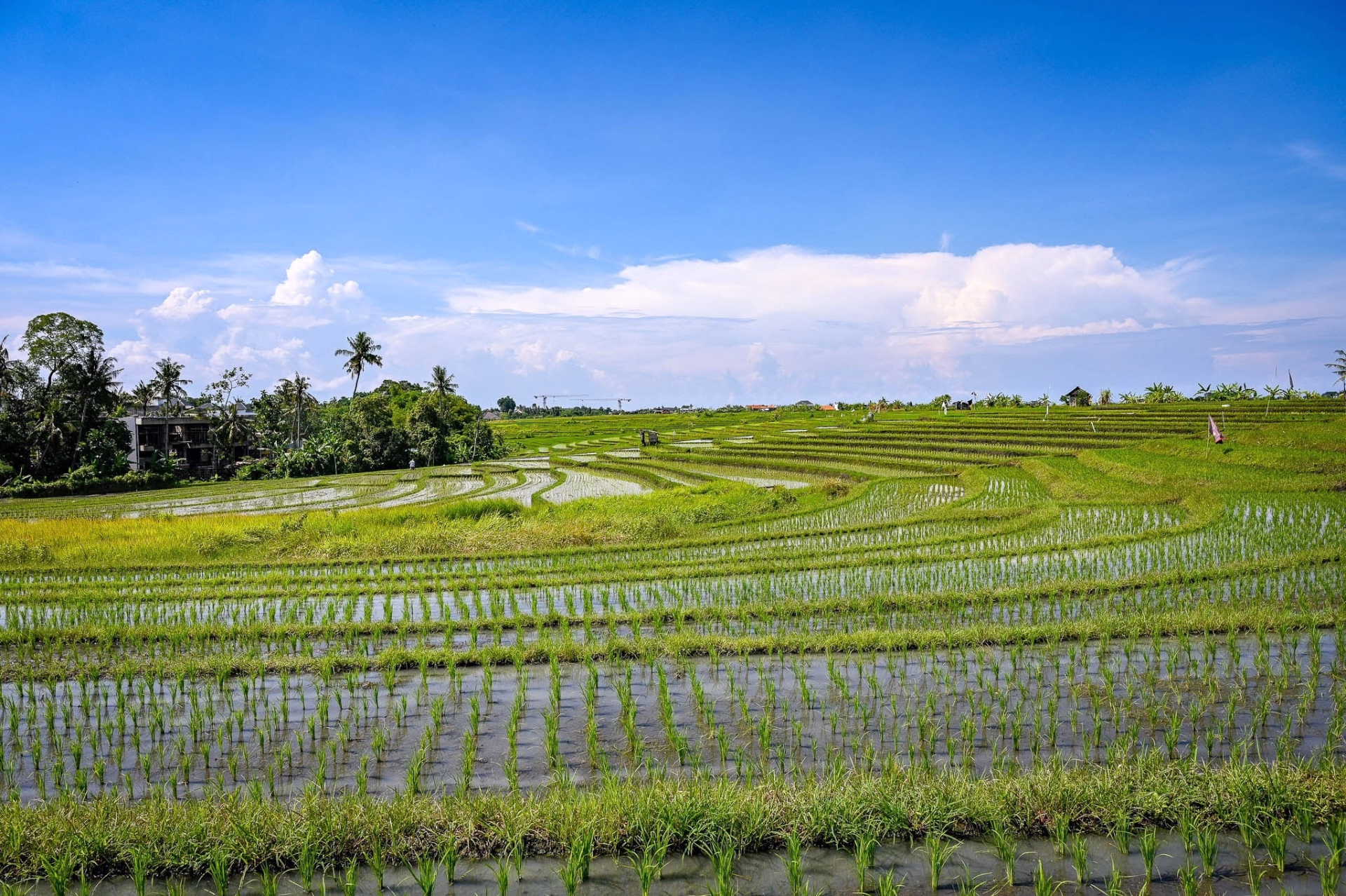 Tour de l'ouest de Bali à VTT : rizières, volcans et côte sauvage