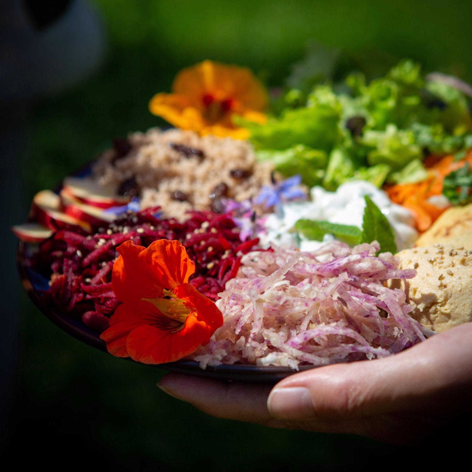 🏠 Chambre d’hôte - Jours 1 à 4