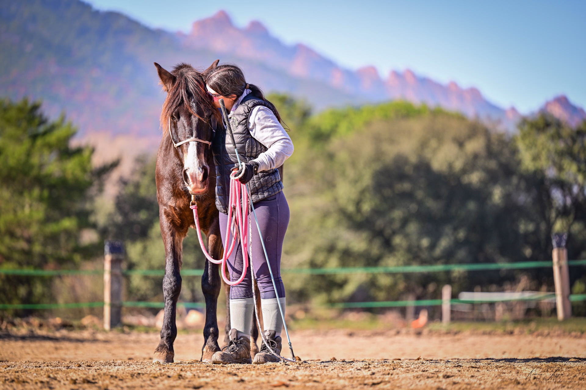 Séjour éthologie à cheval en Corse
