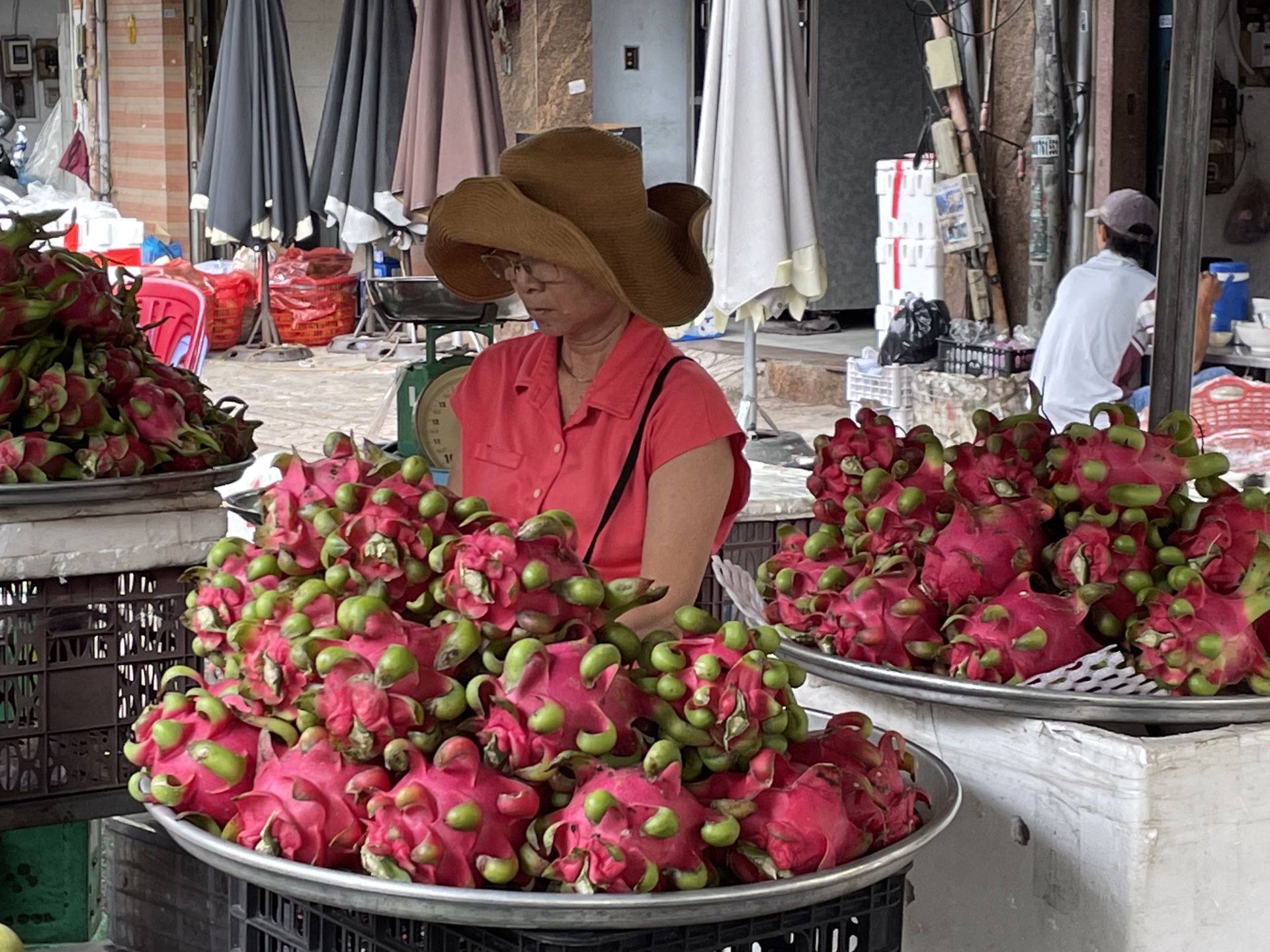 Le Vietnam du nord au sud