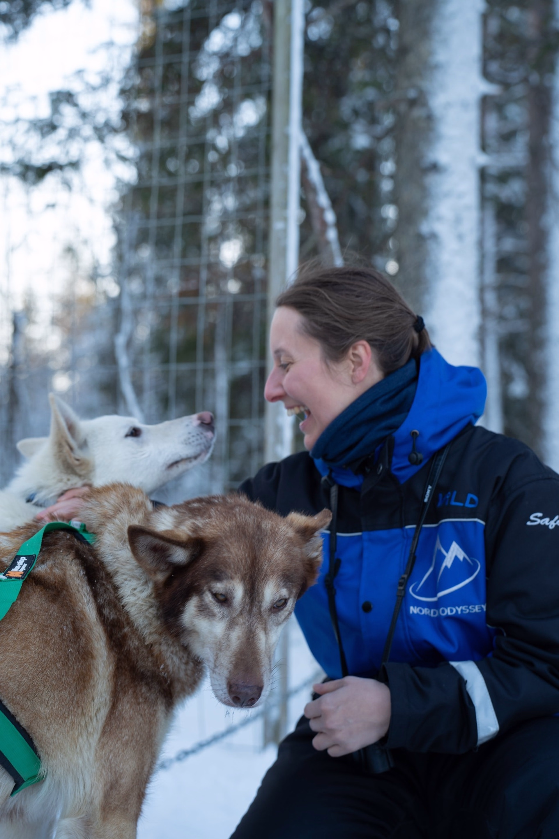 Séjour intimiste en immersion au coeur de la Laponie Finlandaise