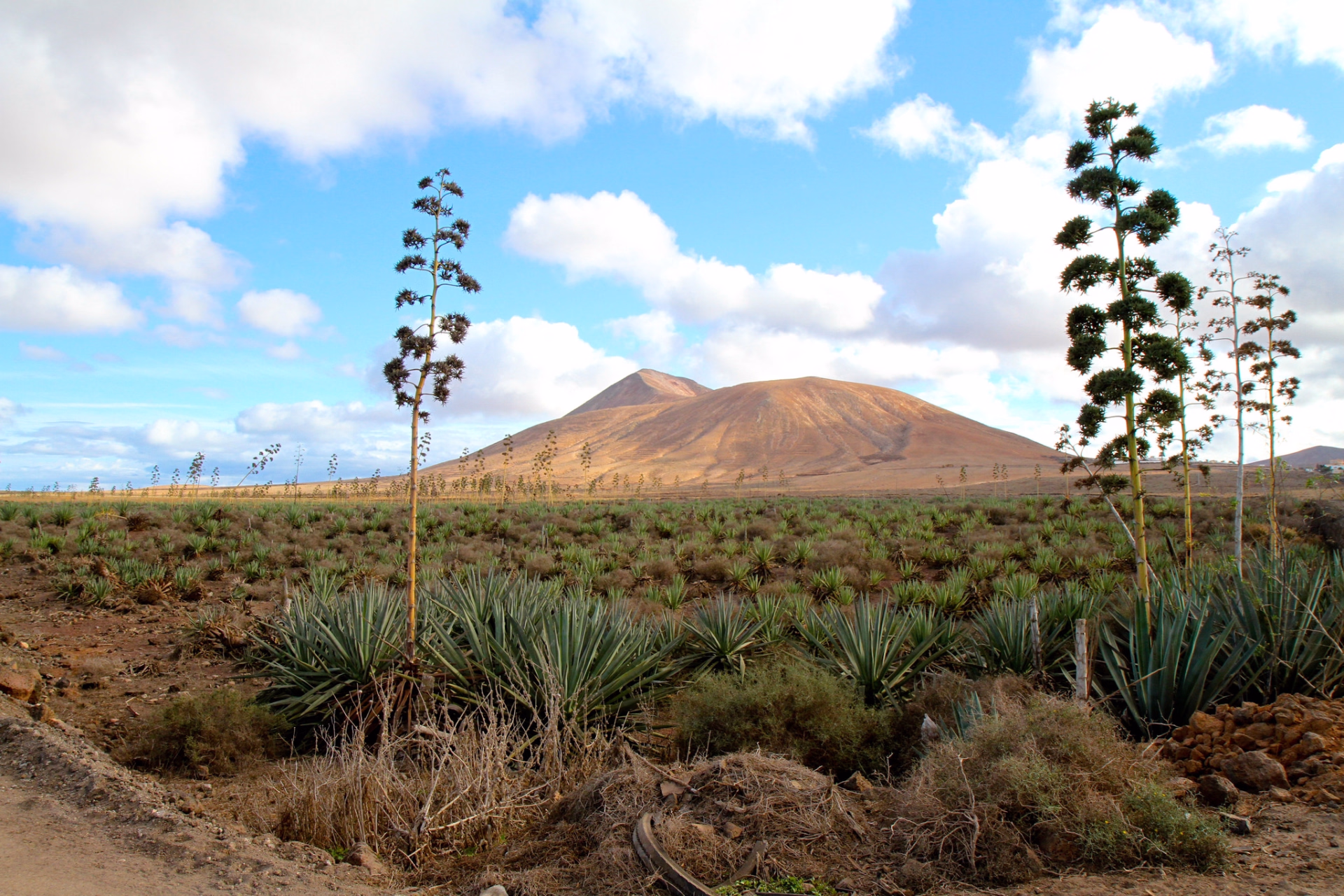 Surf & Détente : Progressez dans l'eau, relaxez-vous avec style