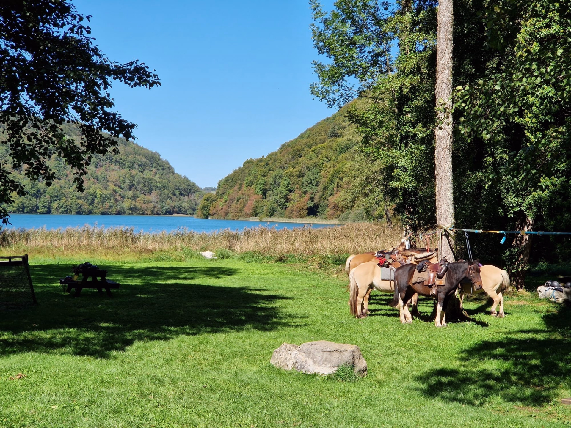 Rando à cheval au fil des lacs et cascades du Haut-Jura