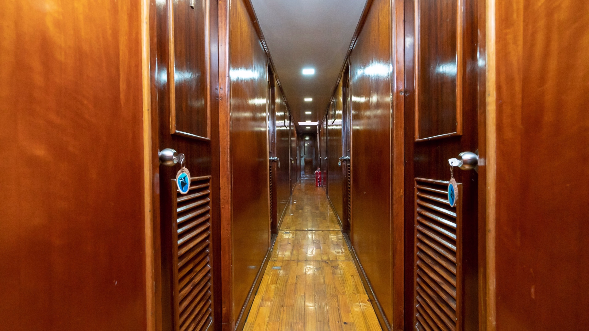 🚢 Bateau de croisière à moteur - Jours 1 à 10
