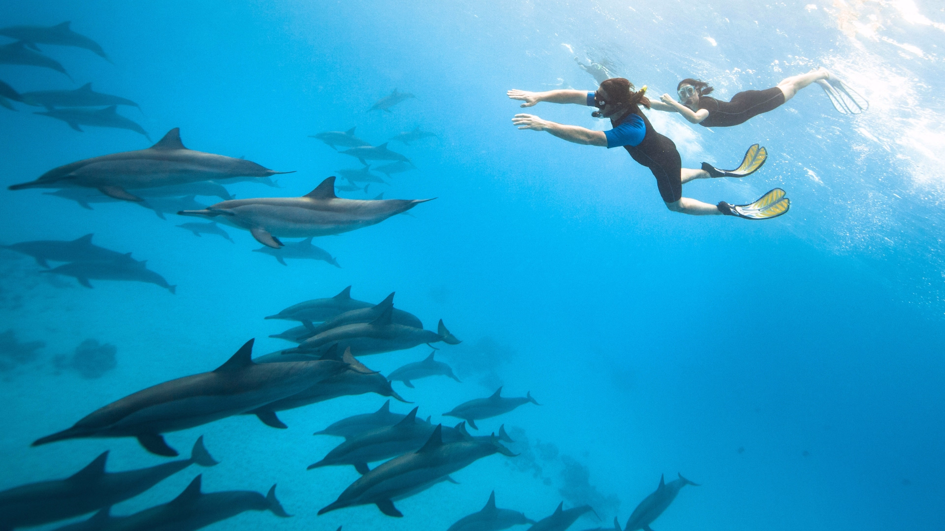 Croisière Snorkeling en famille