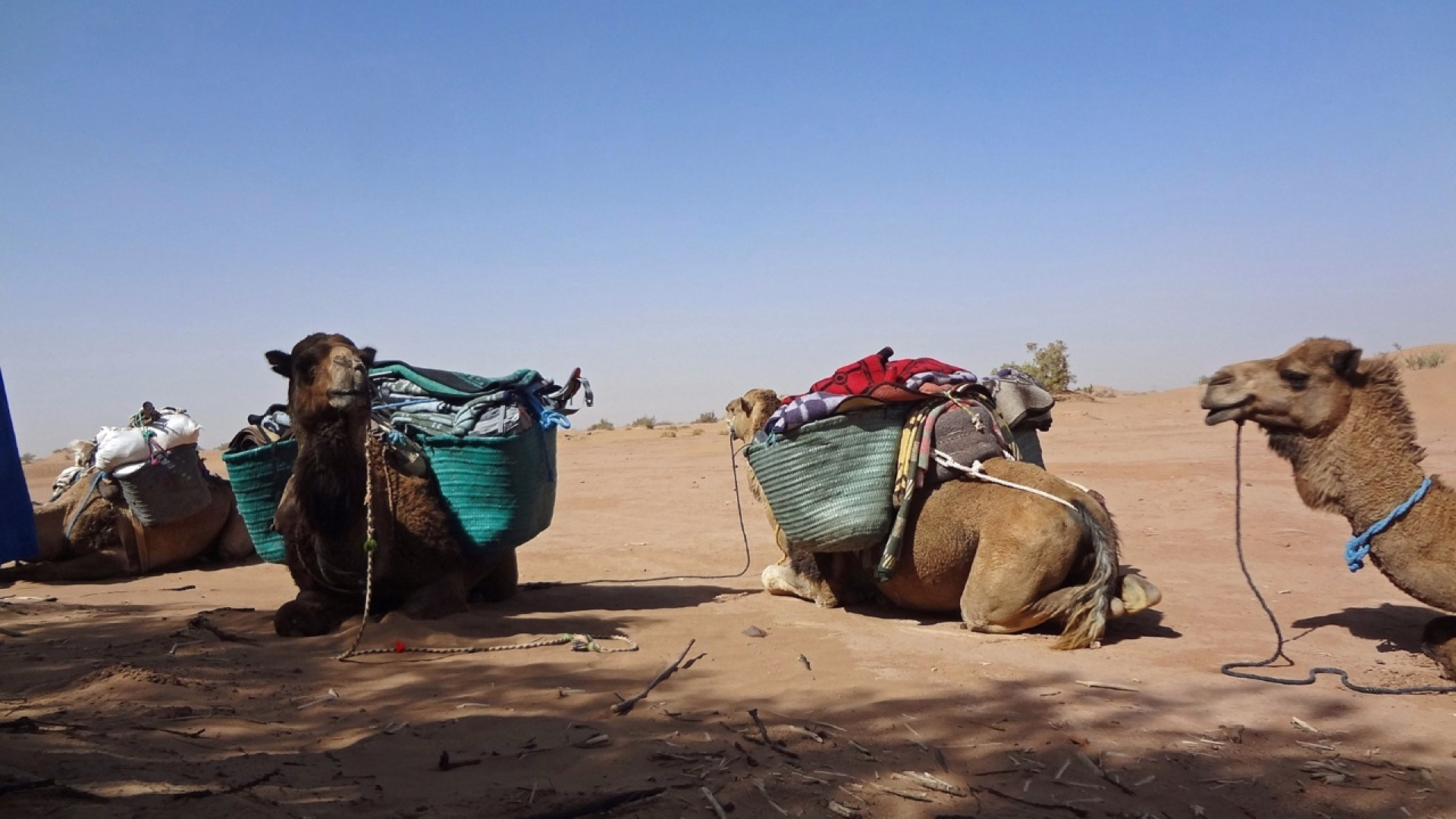 Excursion trek de 4 jours dans le désert marocain