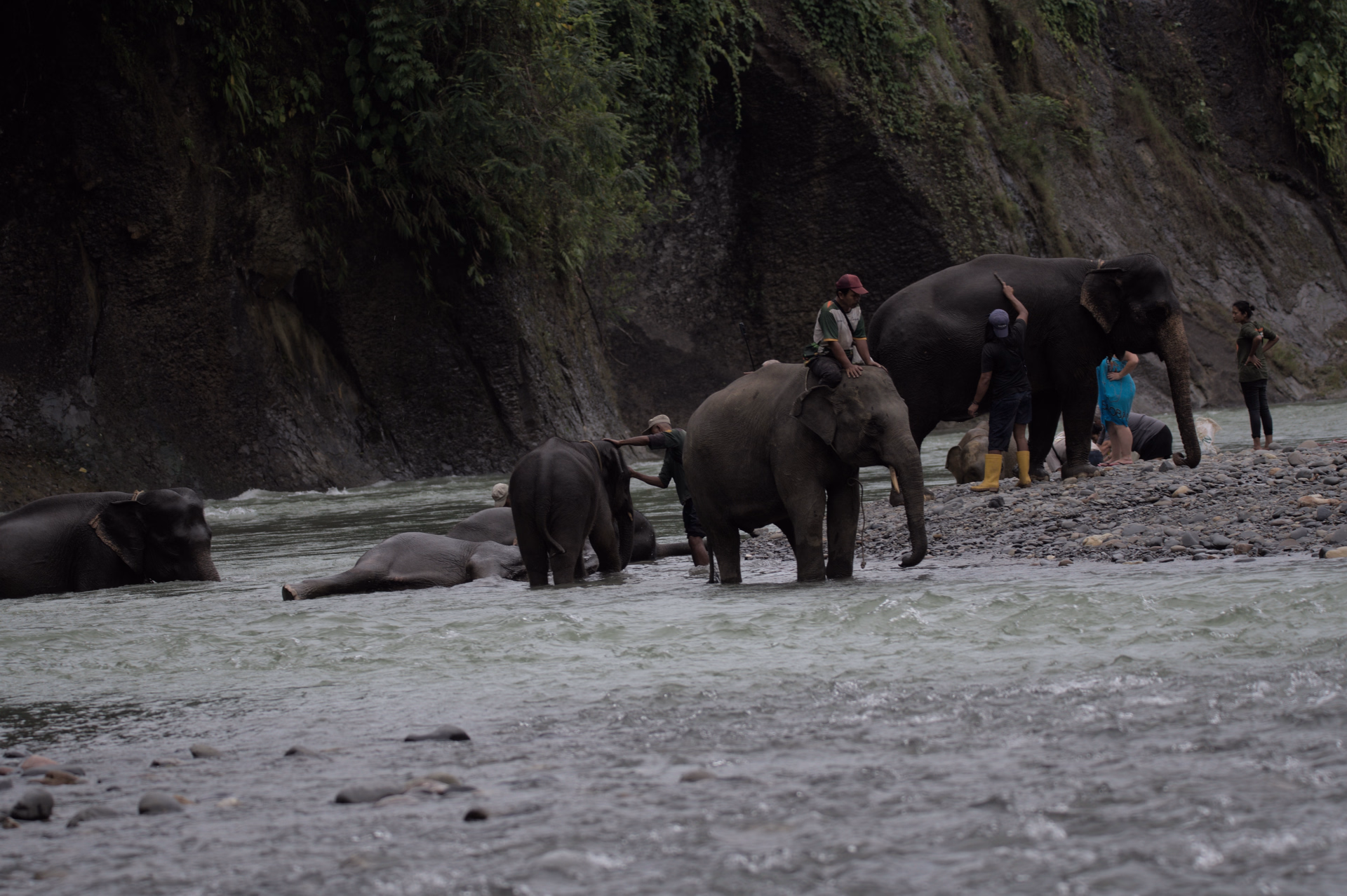 Sumatra Nord en vélo électrique : Lac Toba et jungle de Sumatra